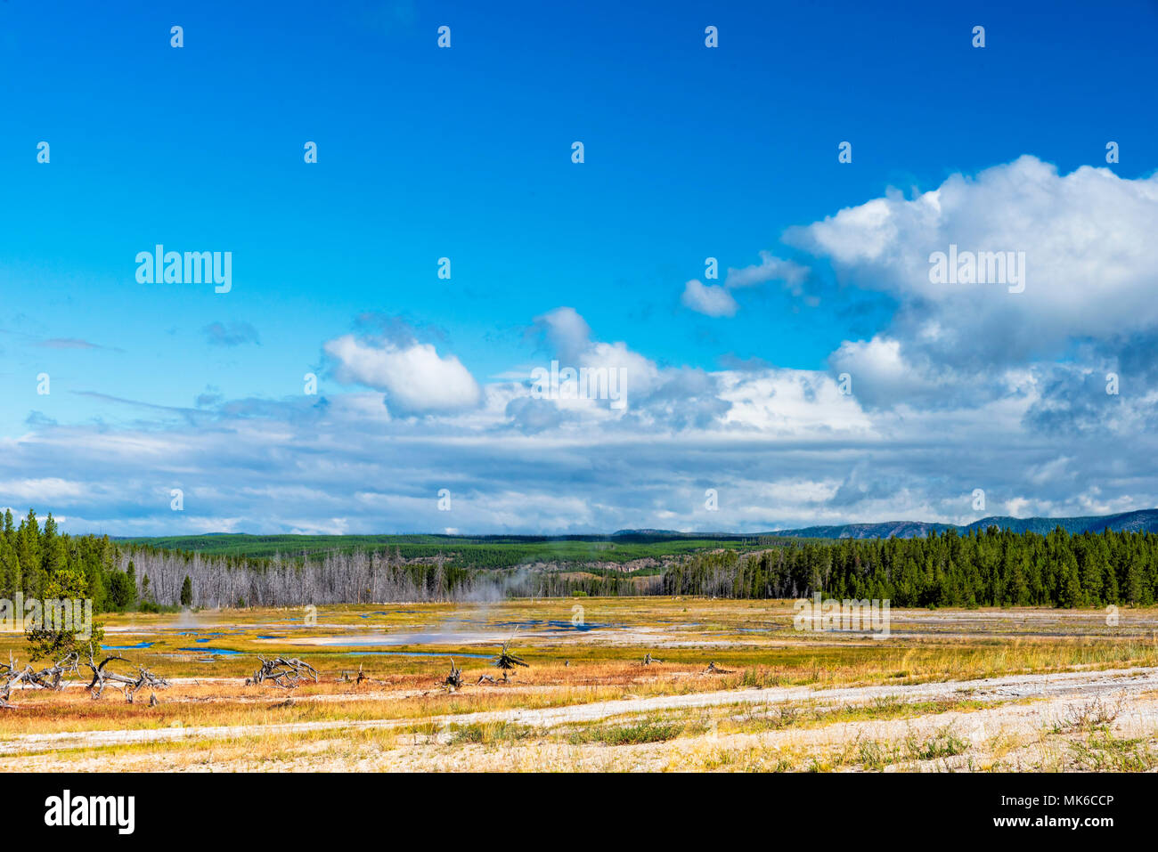 I file di grandi dimensioni con primavera calda nel mezzo con la foresta e il cielo blu con nuvole. Foto Stock