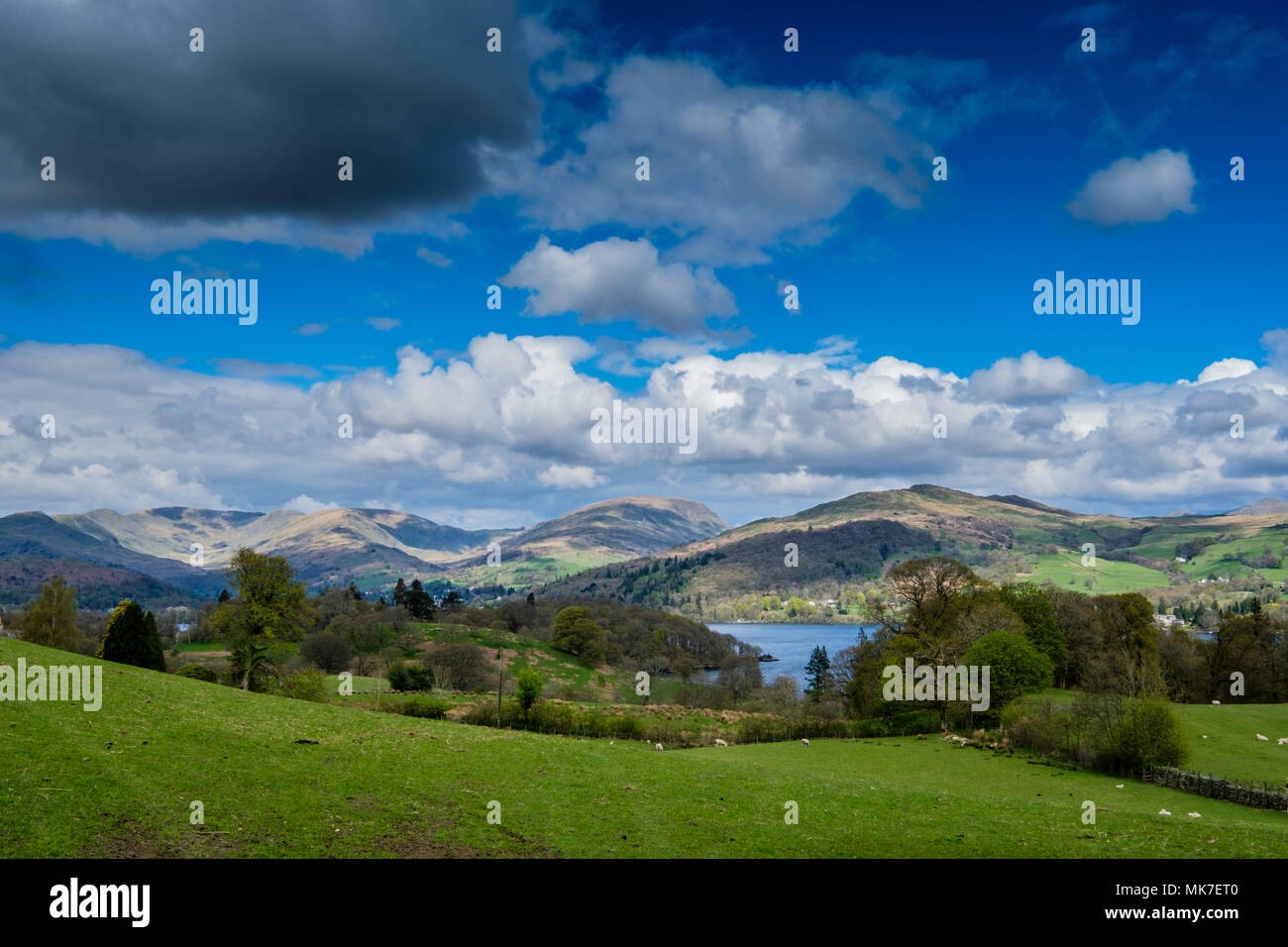Fairfield Horseshoe, Wansfell Pike e Windermere, visto da vicino ad alta Wray, vicino a Ambleside, Lake District, Cumbria Foto Stock