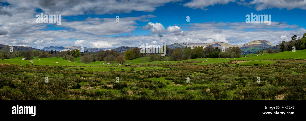 Fairfield Horseshoe, Wansfell Pike e Windermere, visto da vicino ad alta Wray, vicino a Ambleside, Lake District, Cumbria Foto Stock