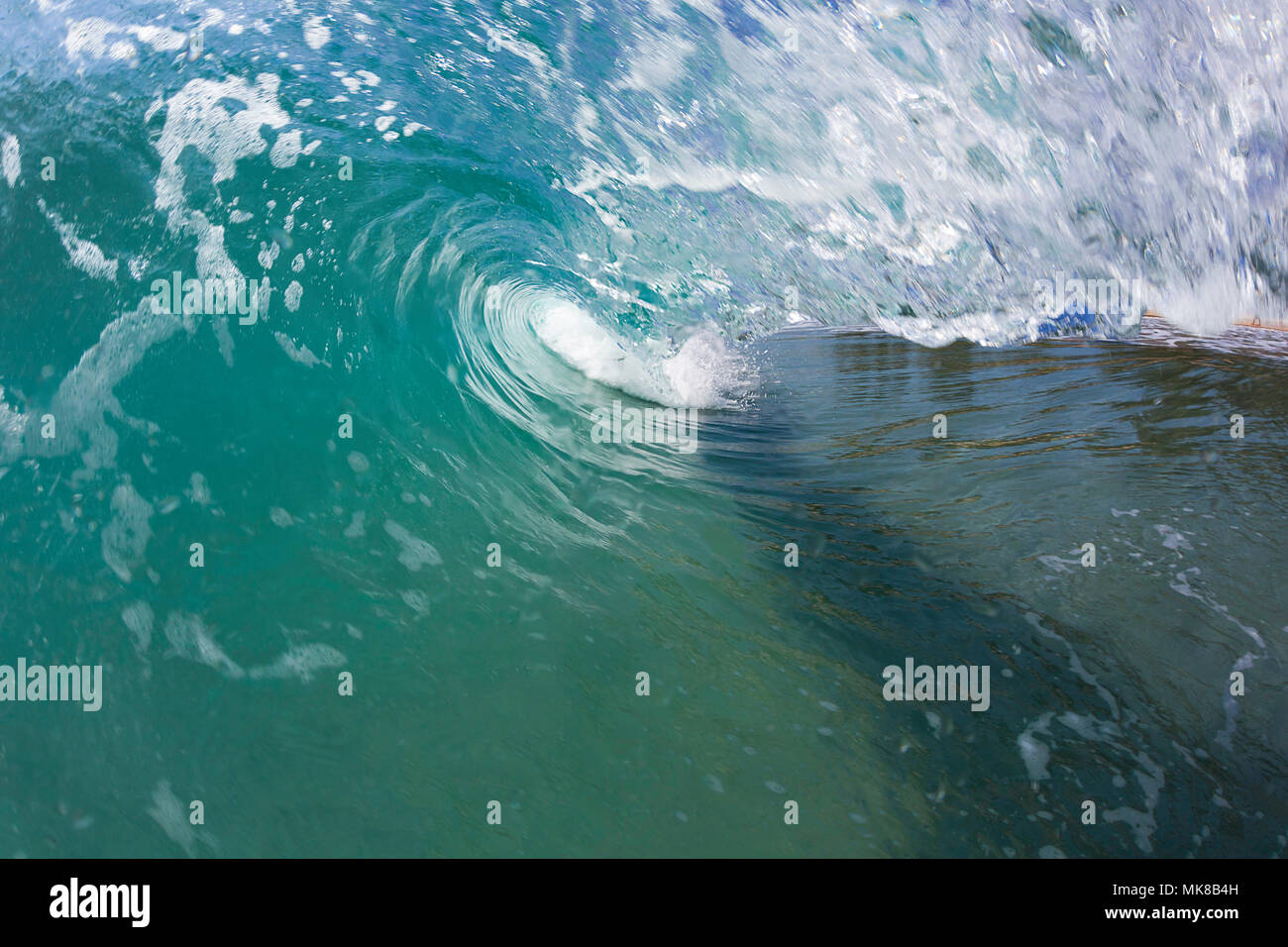 Un ondata di ricci in spiaggia nell'Oceano Indiano al largo dello Sri Lanka. Foto Stock