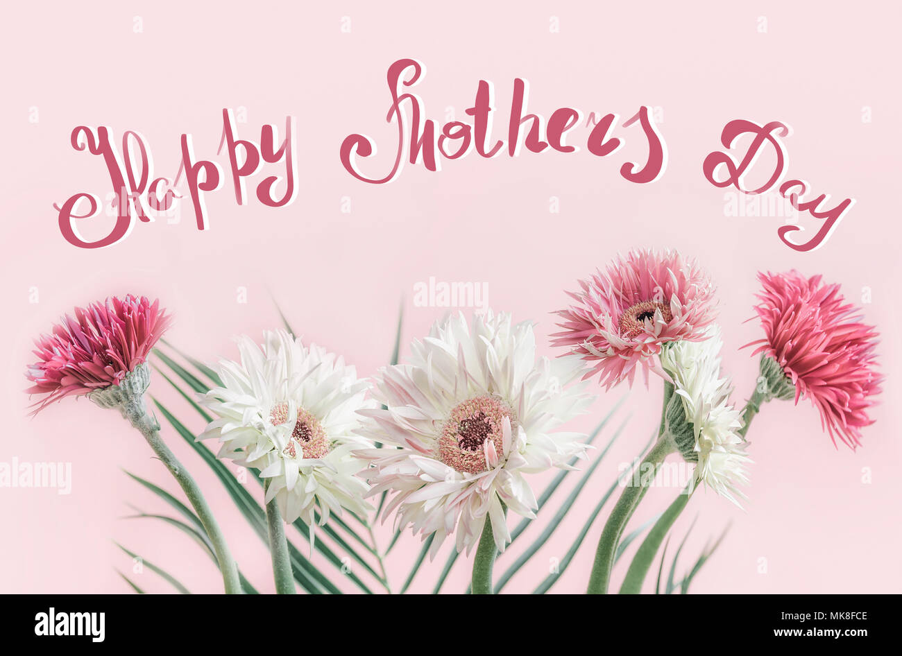 Felice Festa della Mamma biglietto di auguri con splendidi fiori mazzetto di gerbera in rosa pastello sfondo, vista frontale Foto Stock