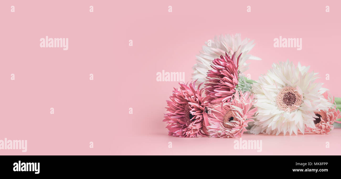 Rosa pastello banner floreali o del modello di sfondo con aster, Gerbera e margherite mazzo di fiori Foto Stock
