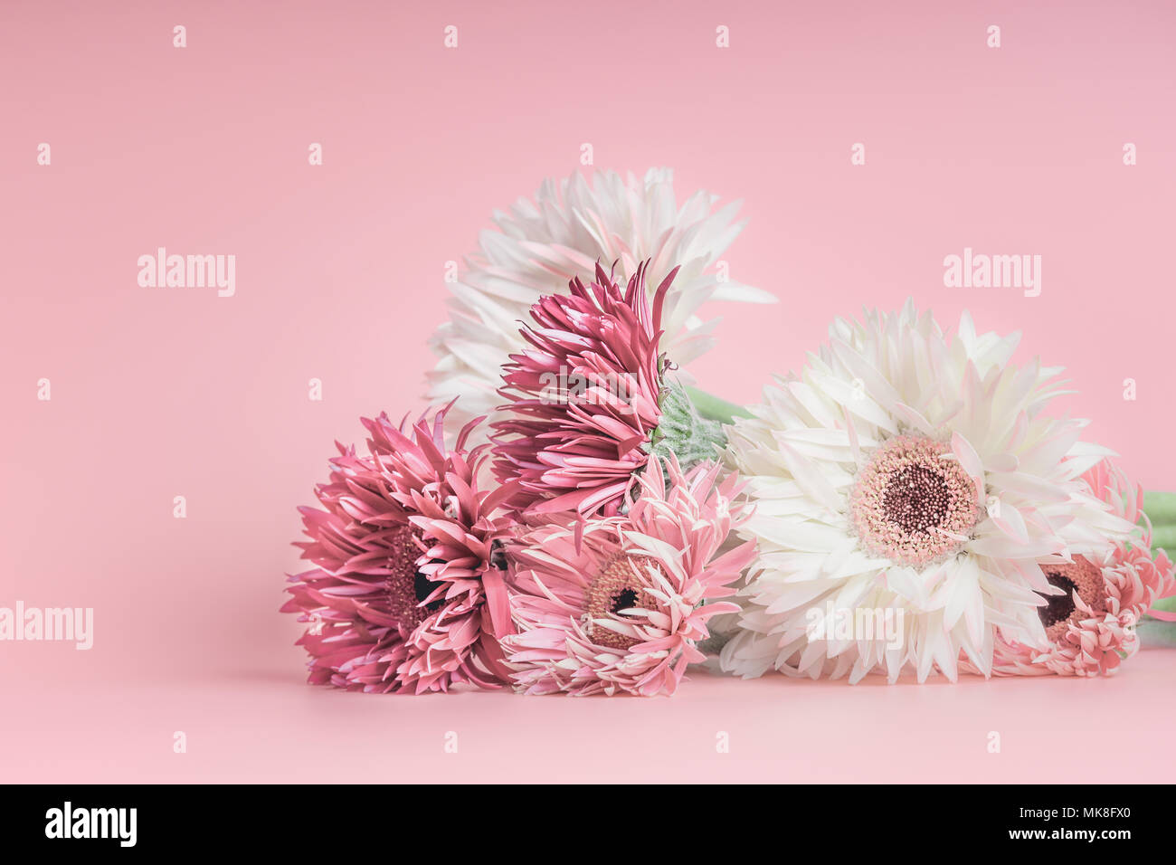 Piuttosto pastello mazzo di fiori su sfondo rosa. Foto Stock