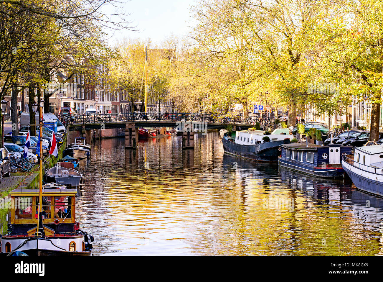 Vista sulla bellissima Amsterdam, la capitale dei Paesi Bassi, con canali, canalboats, alberi e riflessi nell'acqua Foto Stock