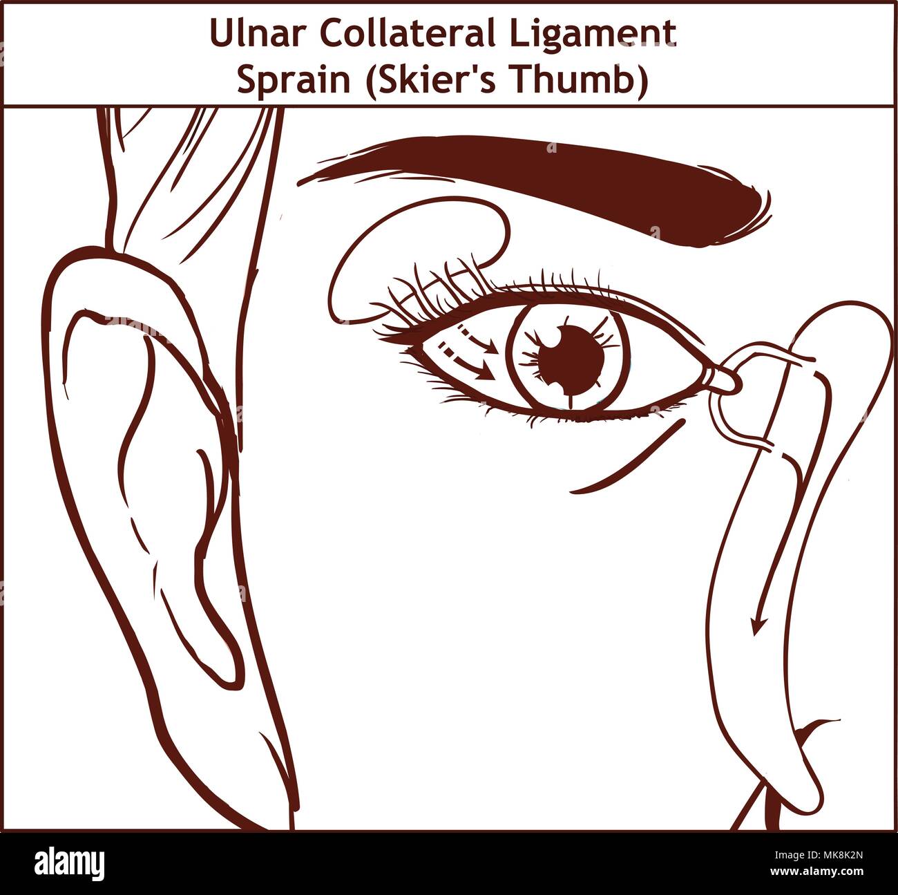 Vector illutration, anatomia dell'apparato lacrimale Illustrazione Vettoriale