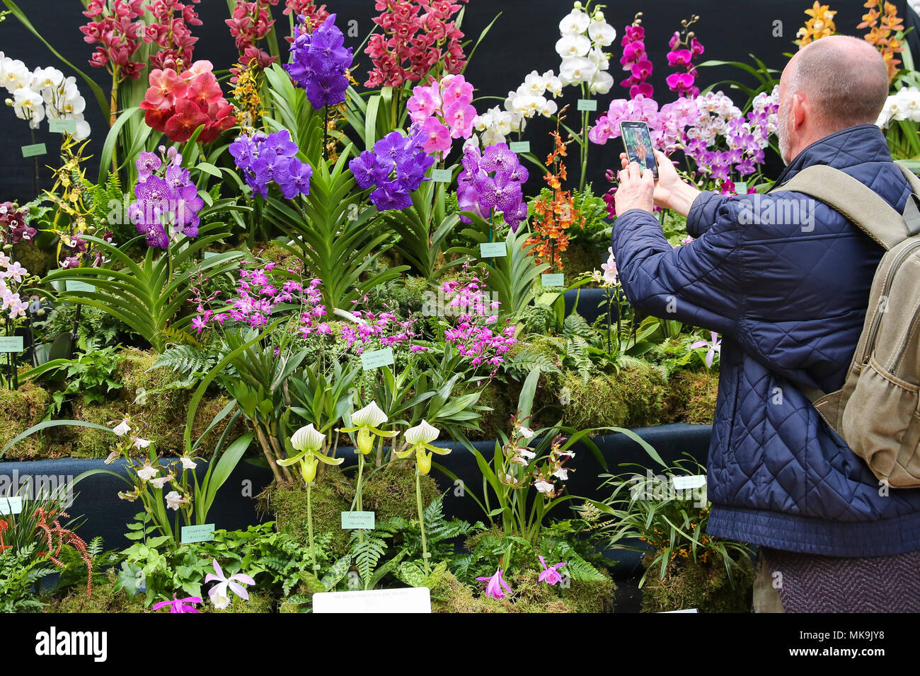 Le persone che frequentano il Royal Horticultural Society (RHS) London Orchid mostra e Fiera di piante di Westminster che mette in mostra alcuni dei migliori impianti a molla visualizza, un abbondanza di orchids esotici e la possibilità di visualizzare in anteprima esclusiva di RHS Chelsea Flower Show 2018. Dotato di: atmosfera, vista in cui: Londra, Regno Unito quando: 06 Apr 2018 Credit: Dinendra Haria/WENN Foto Stock
