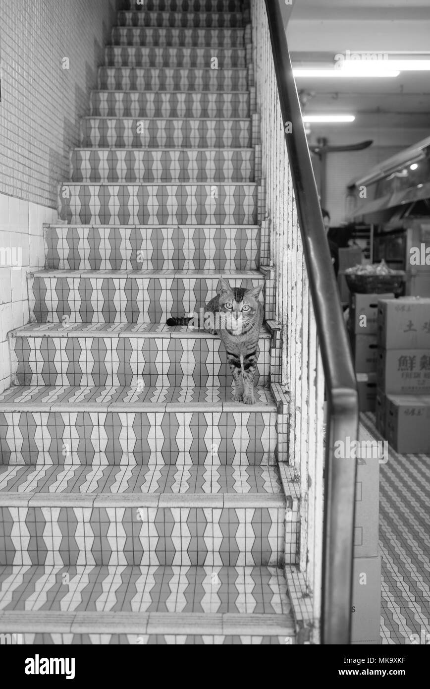 Le foto scattate mentre mi trovavo a Hong Kong Foto Stock