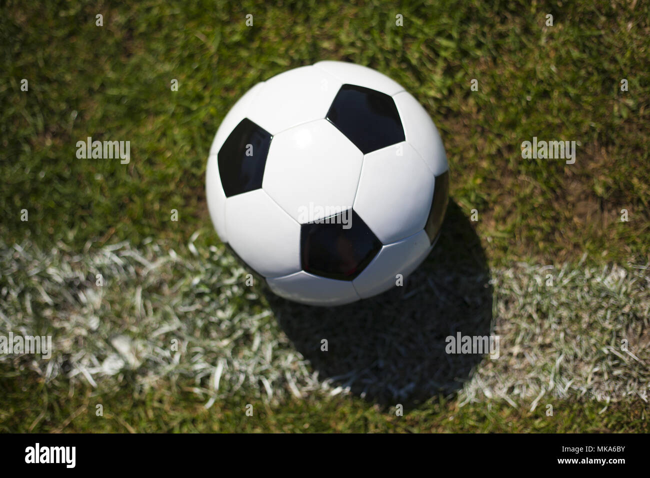 Un bianco e nero calcio in erba con una linea bianca Foto Stock