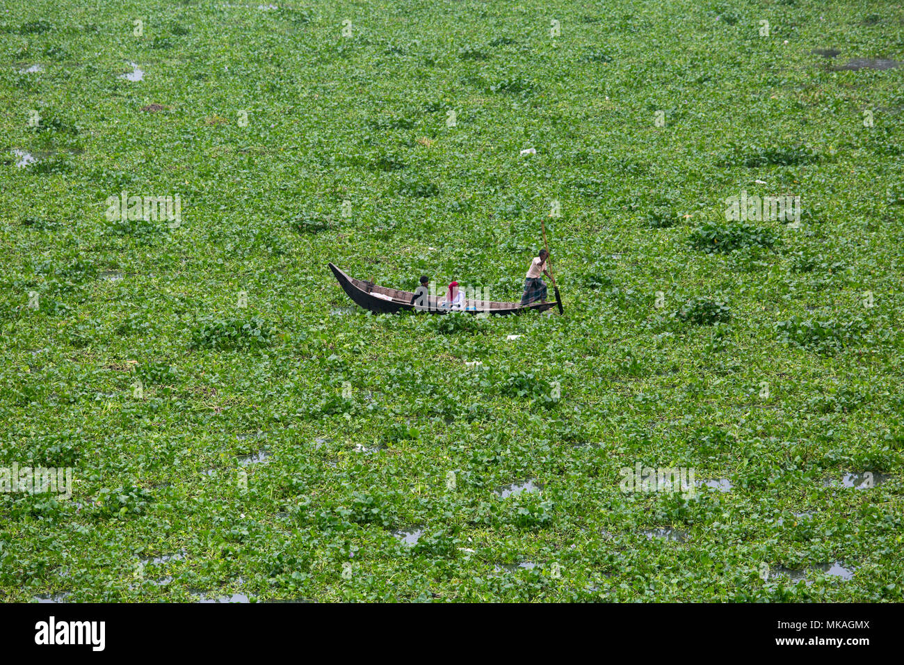 Dacca in Bangladesh. Il 7 maggio, 2018. Monsone è venuta l'acqua-giacinto è riempito nel fiume. A causa dell'acqua-giacinto attraversamento passeggeri barca è stata bloccata nel fiume. Un barcaiolo e due studenti della scuola sta tentando di attraversare l'acqua-giacinto riempito nel fiume Burigonga a Dacca in Bangladesh. Lunedì 07 Maggio, 2018. Credito: Jahangir Alam Onuchcha/ Alamy Live News Foto Stock