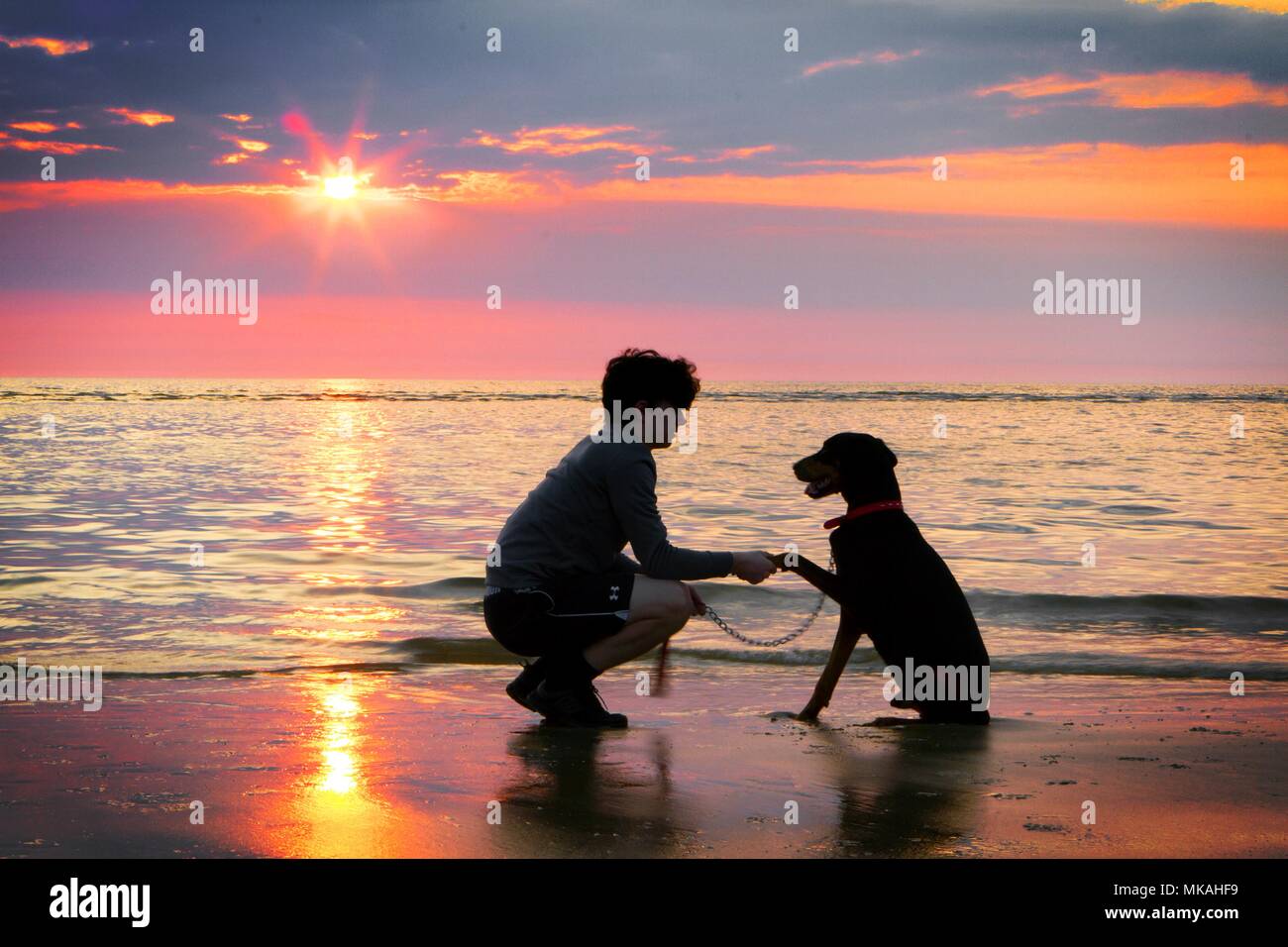 Ainsdale Beach, Southport, Merseyside. Il 7 maggio 2018. Regno Unito Meteo. Sam Elias [mr] sta con il suo migliore amico 'Charlie' IL Dobermann e orologi un bel tramonto goccia nell'orizzonte dopo il giorno più caldo dell'anno finora sulla spiaggia di Southport nel Merseyside. Credito: Cernan Elias/Alamy Live News Foto Stock