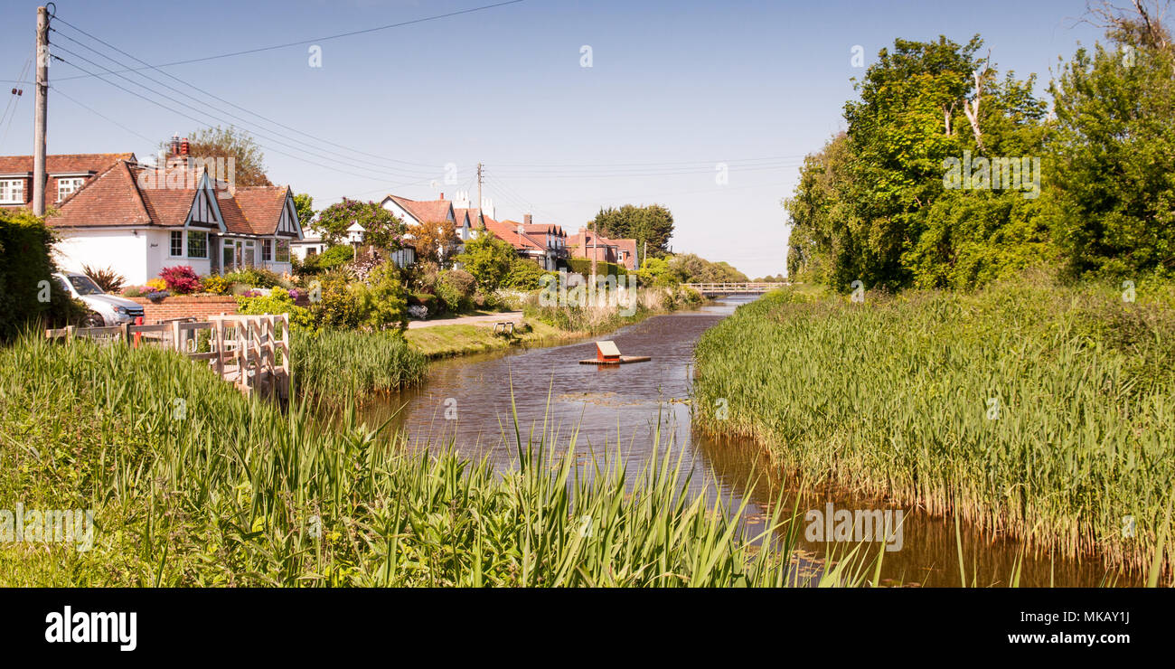 A Pett, England, Regno Unito - 8 Giugno 2013: Reeds riempire il Royal Military Canal a Cliff fine sul livello a Pett in East Sussex. Foto Stock