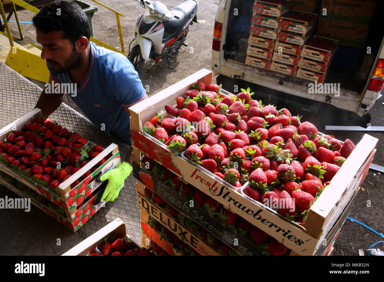 Un lavoratore carichi di casse con fresche Fragole greco nella Frutta & Verdura in Atene, Grecia. ©Elias Verdi/Alamy Stock Foto Foto Stock