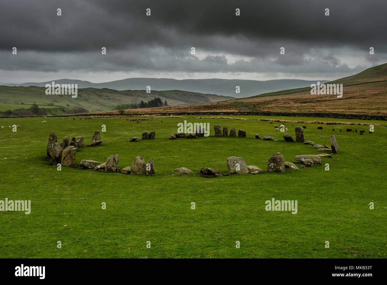 Swinside Stone Circle, nei pressi di Ponte Duddon, Lake District, Cumbria Foto Stock