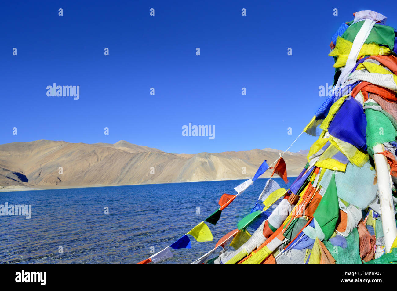 Preghiera tibetano bandiera. Pangong lake. Leh Ladakh. India Foto Stock