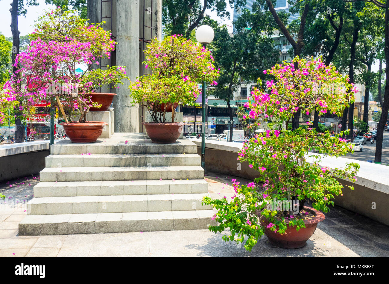 Fioritura le piante in vaso sui gradini nel mezzo del lago di tartaruga, Ho Chi Minh City, Vietnam. Foto Stock