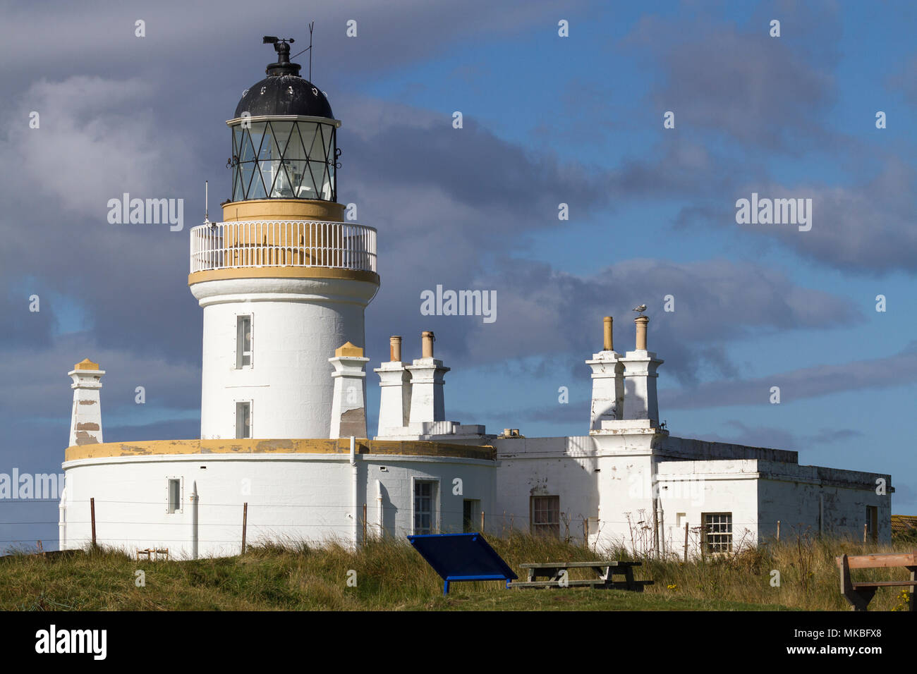Chanonry Point lighthouse sul Moray Firth tra Fortrose e Rosemarkie, Black Isle, Scotland, Regno Unito Foto Stock