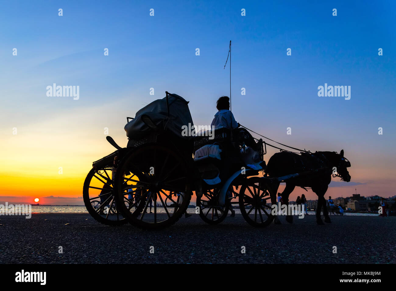 Carrozza a cavallo cavalcare al tramonto Foto Stock