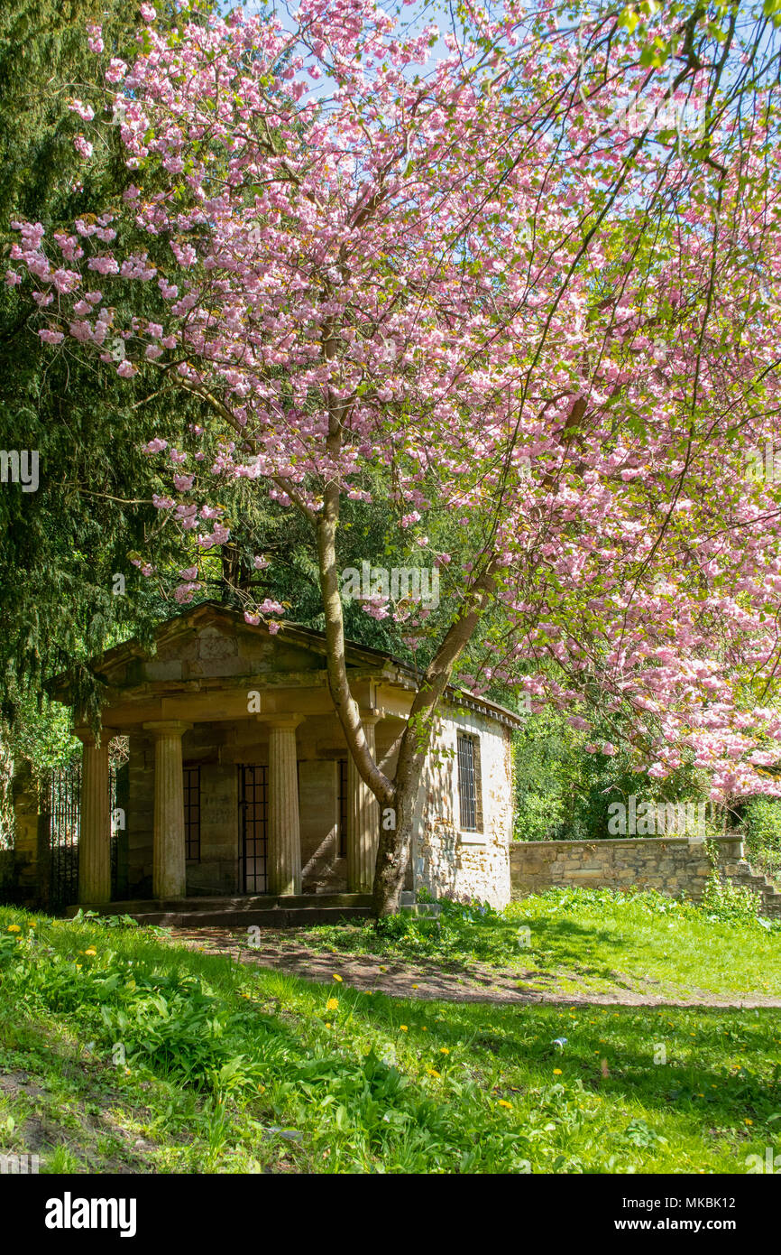 Il conteggio della casa di Durham circondato da fiore Foto Stock