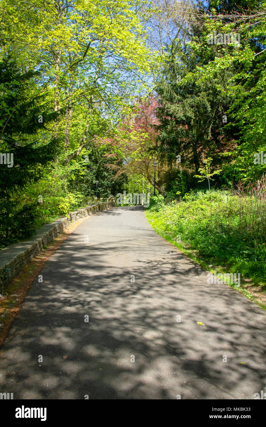 Percorso attraverso gli alberi vicino Prebenda's Bridge, Durham Foto Stock