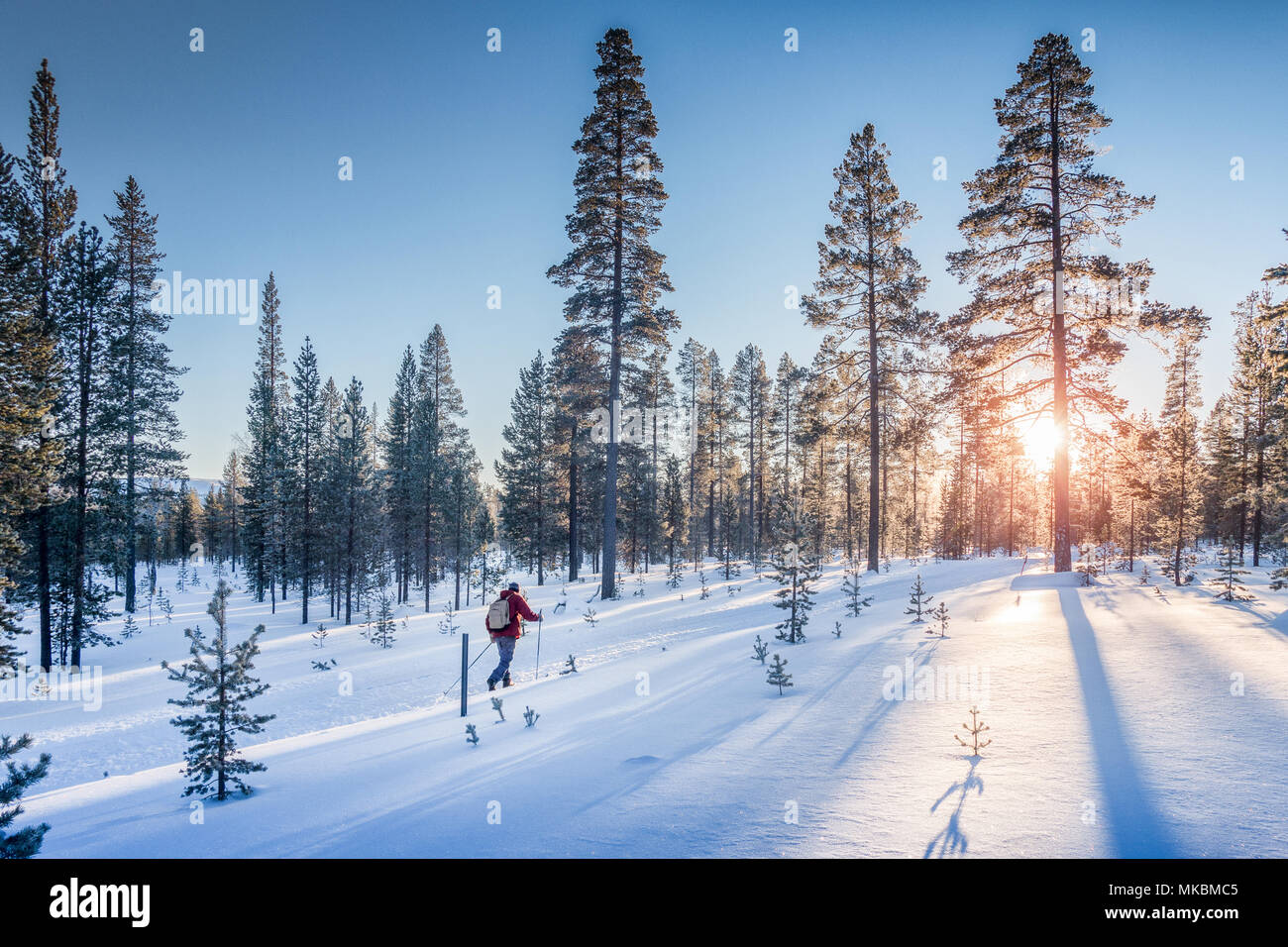 Vista panoramica dell'uomo sci di fondo su un tracciato in bella winter wonderland scenario in Scandinavia con scenic luce della sera al tramonto in win Foto Stock