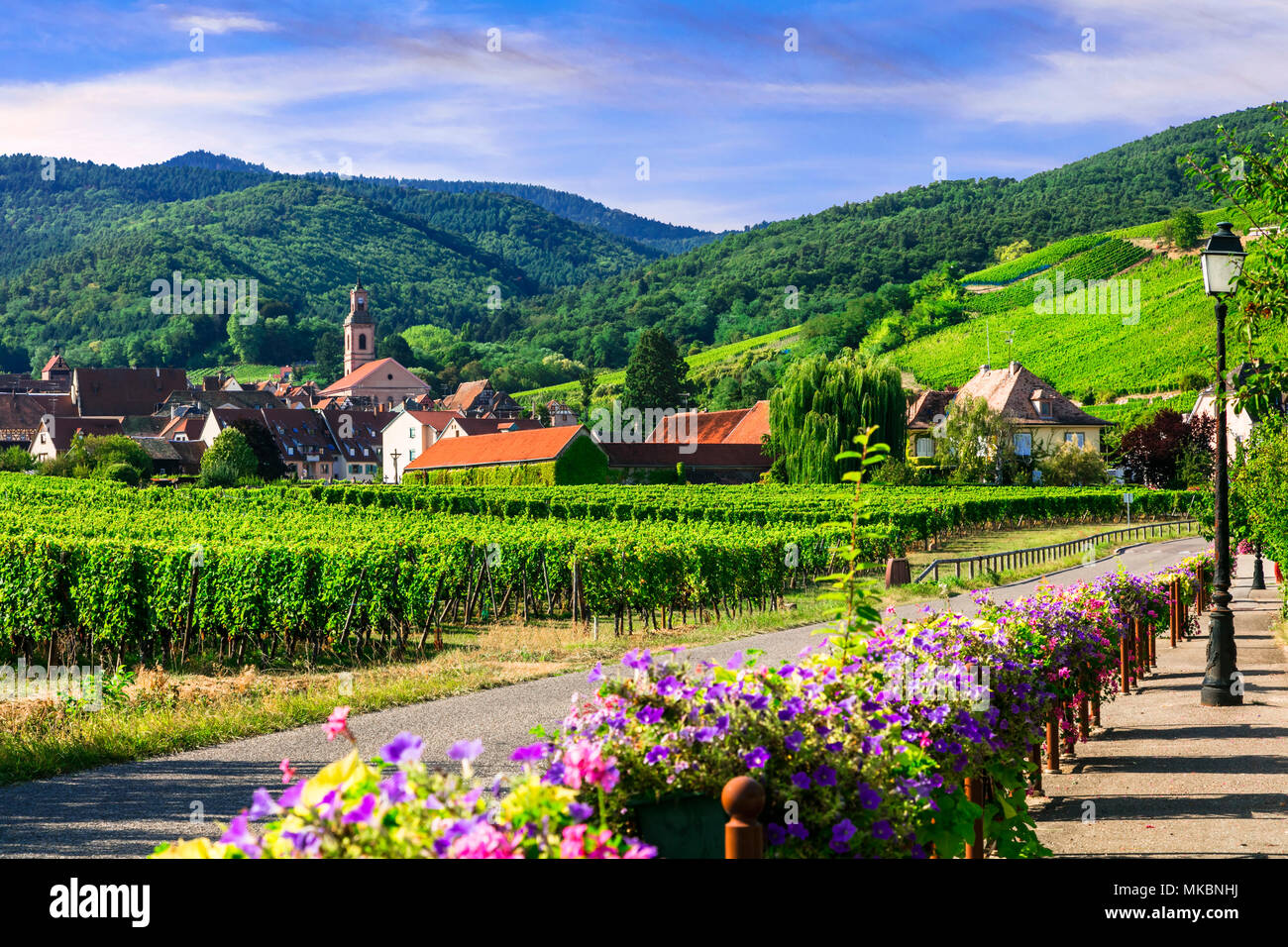 Villaggio Tradizionale in Alsazia,Kayserberg,vista con piccola chiesa e vigneti. Foto Stock