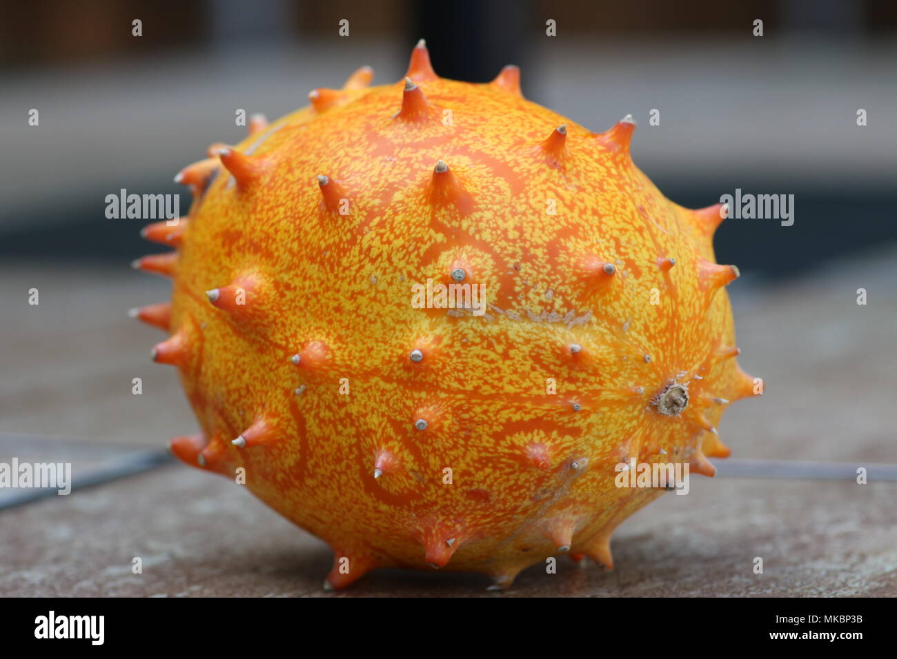 Primo piano di un intero kiwano cornuto melone Foto Stock