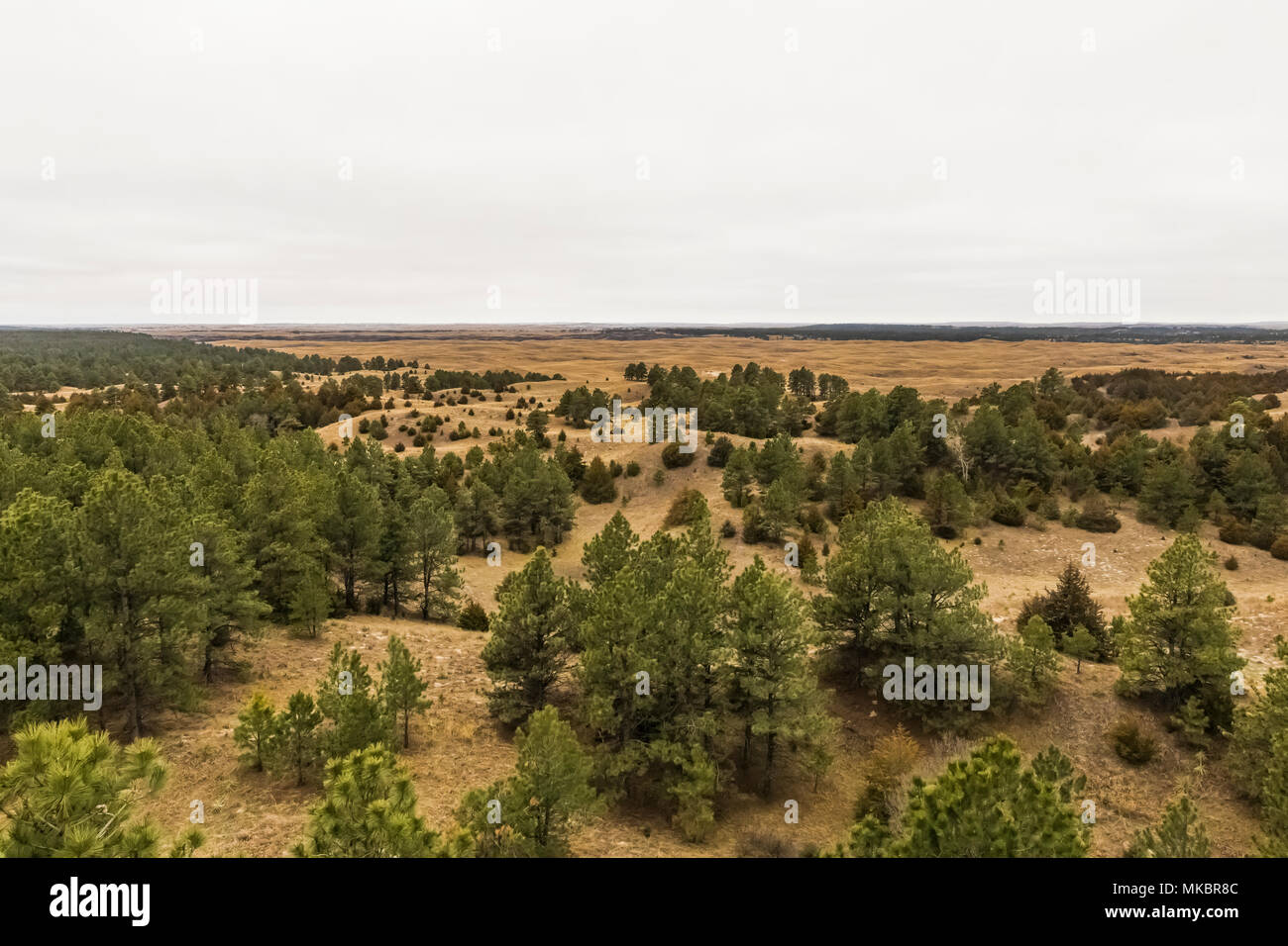 Vista della foresta e prateria distante da Scott avvistamento incendi nel Nebraska National Forest entro il Nebraska Sandhills regione, STATI UNITI D'AMERICA Foto Stock