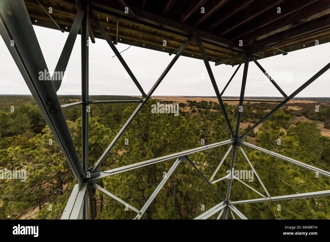 Vista della foresta e prateria distante da Scott avvistamento incendi nel Nebraska National Forest entro il Nebraska Sandhills regione, STATI UNITI D'AMERICA Foto Stock