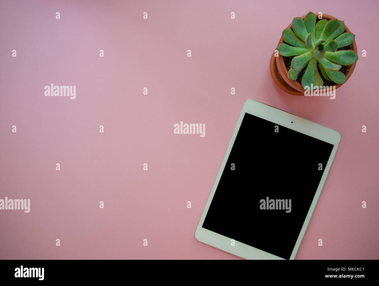 Scrivania con tablet e succulenta. Foto Stock