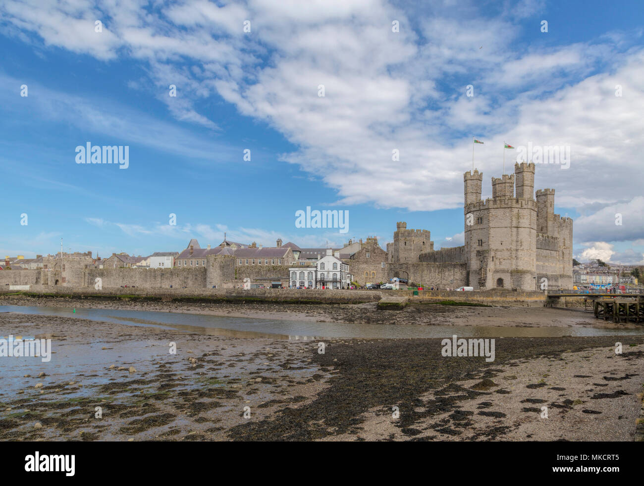 Vista di Caernarfon Castle, un sito Patrimonio Mondiale dell'UNESCO, e le mura della città, costruito da re Edoardo I, Caernarfon, Gwynedd, il Galles del Nord, Regno Unito. Foto Stock