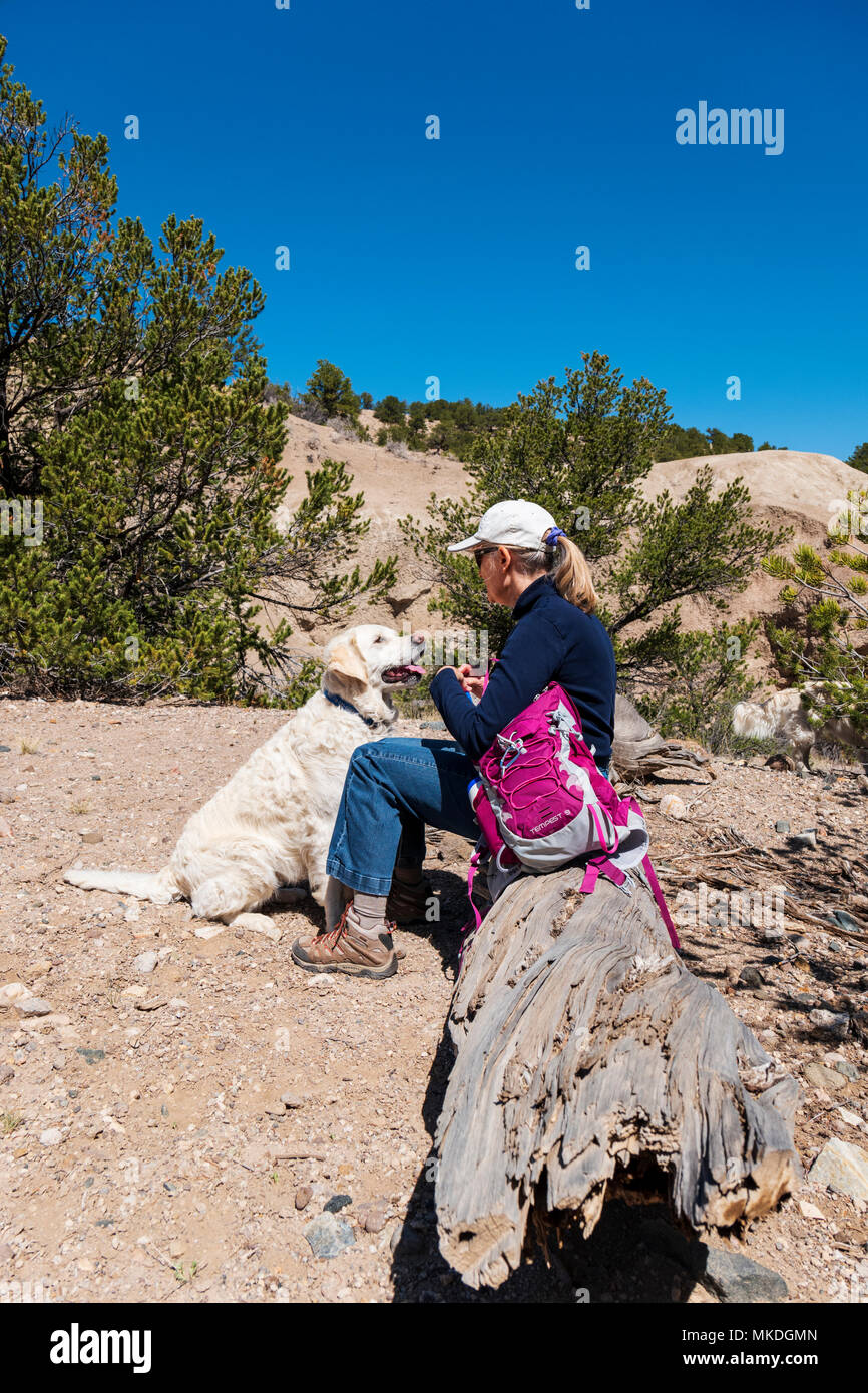 Escursionista femmina con color platino Golden Retriever cani entra in pausa per un drink Foto Stock