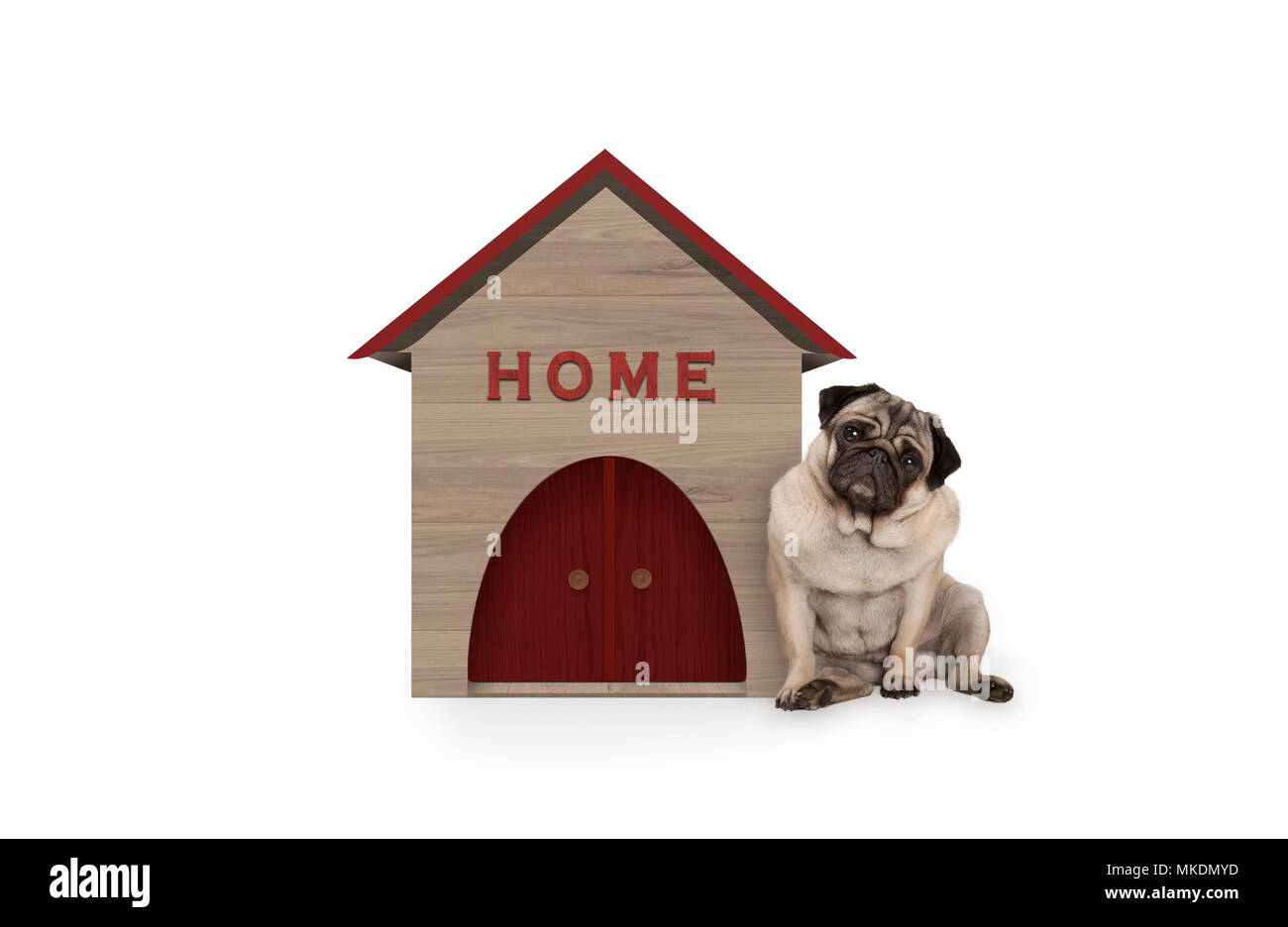 Cheeky pug cucciolo di cane seduto accanto alla casa del cane con segno Home, isolato su sfondo bianco Foto Stock