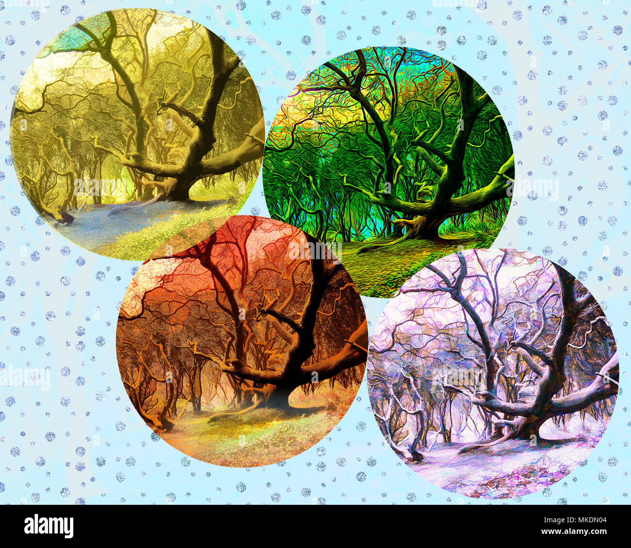 Quattro stagioni il concetto: la magia della foresta Foto Stock