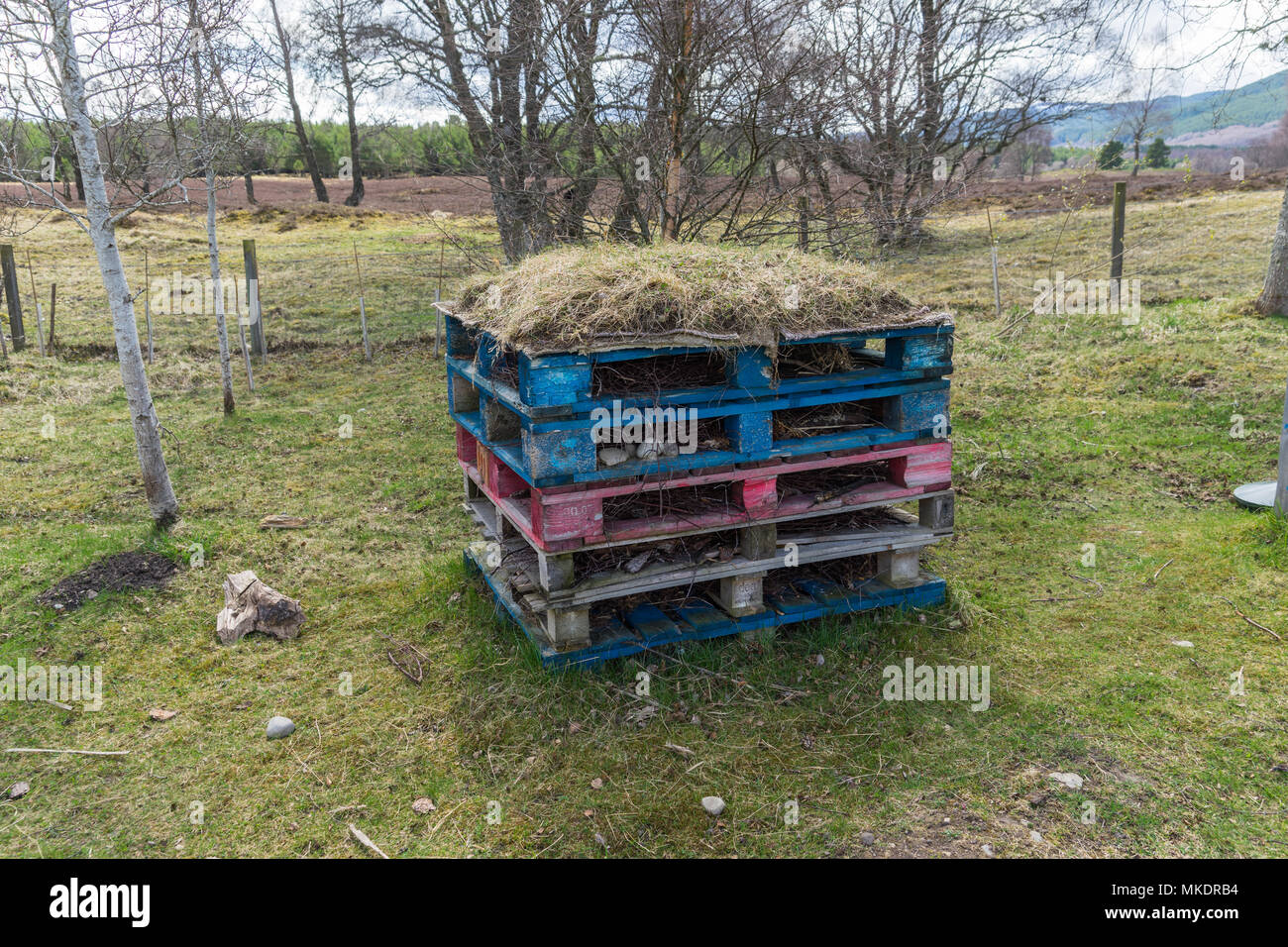 Bug Hotel. Bug hotel in una scuola rurale. Foto Stock