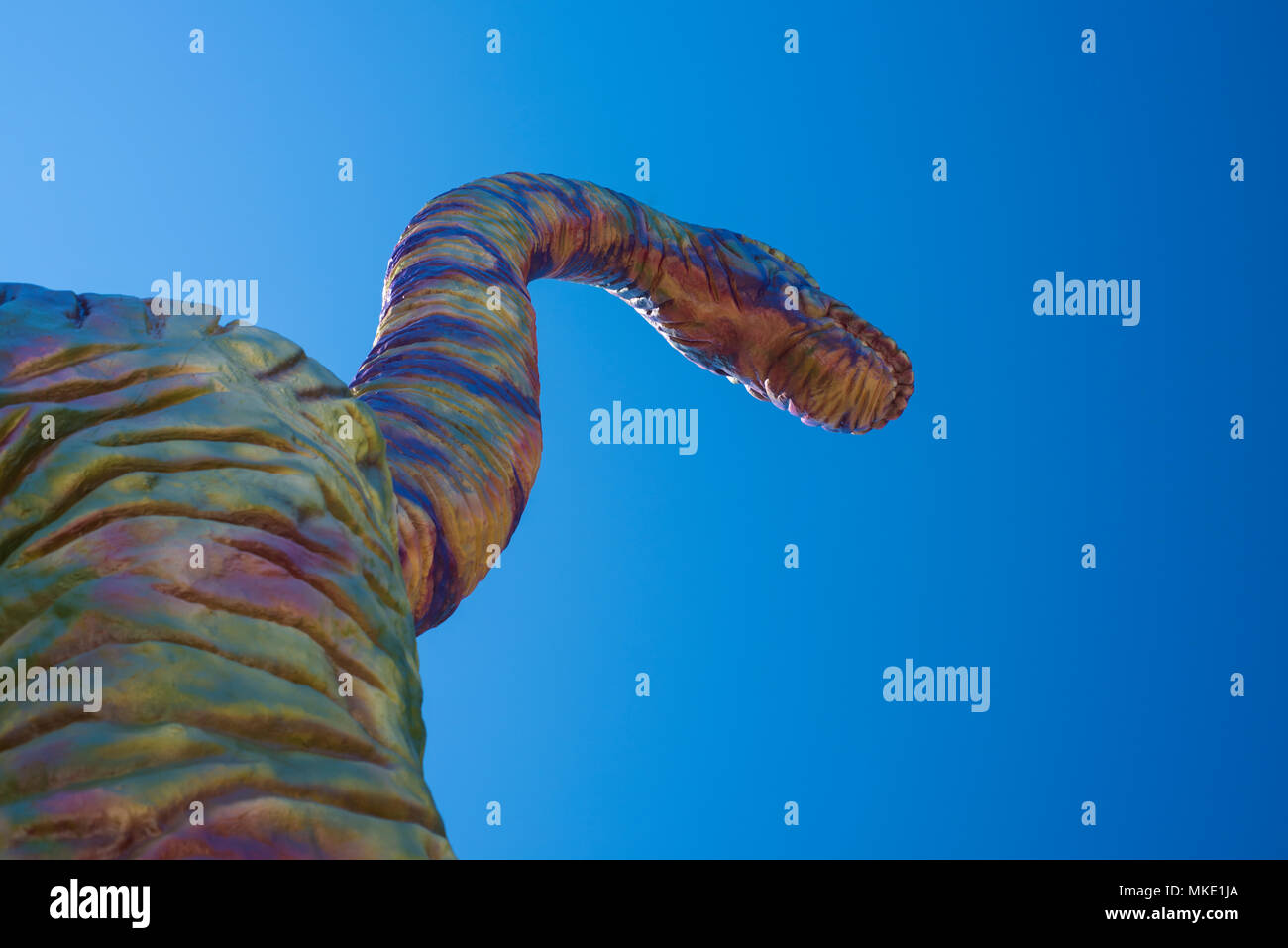 Vista del dinosauro colorato, da sotto contro un cielo blu Foto Stock