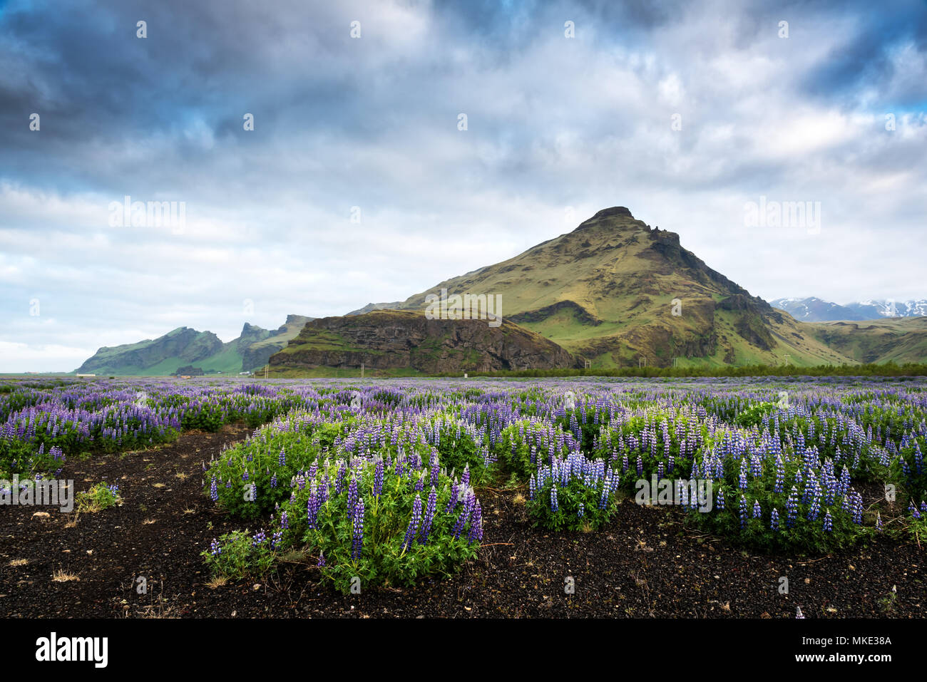 Islanda tipico paesaggio con montagne Foto Stock