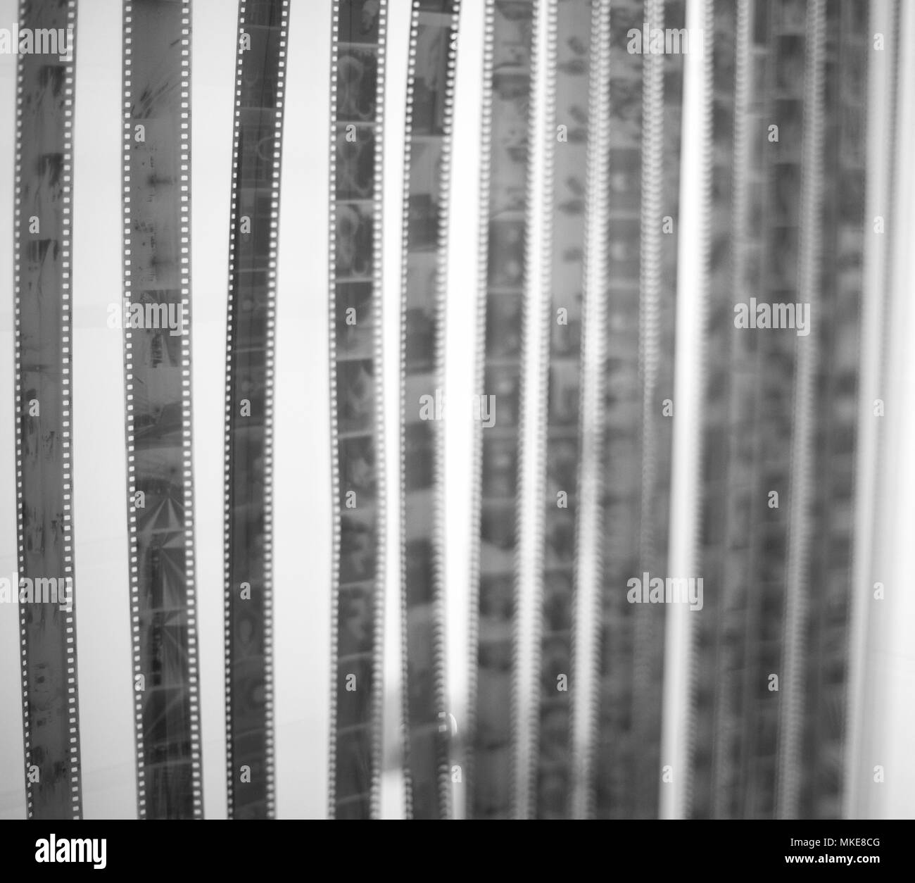 35mm analog fotografia in bianco e nero film negativi dopo essiccazione home sviluppo essiccamento per la scansione delle foto. Foto Stock
