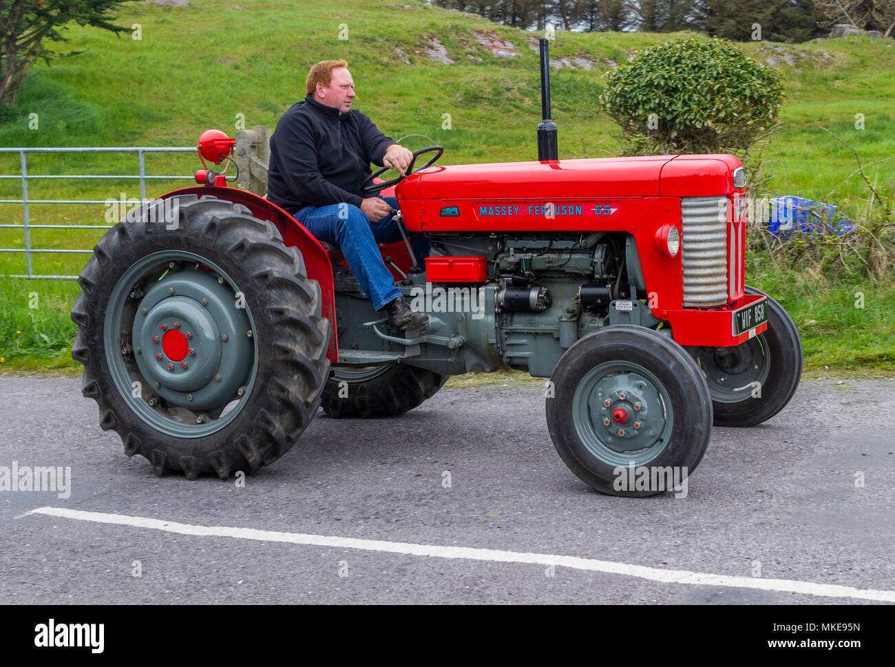 Trattore Massey Ferguson 65 nel colore rosso brillante verniciatura a un trattore vintage rally. Foto Stock