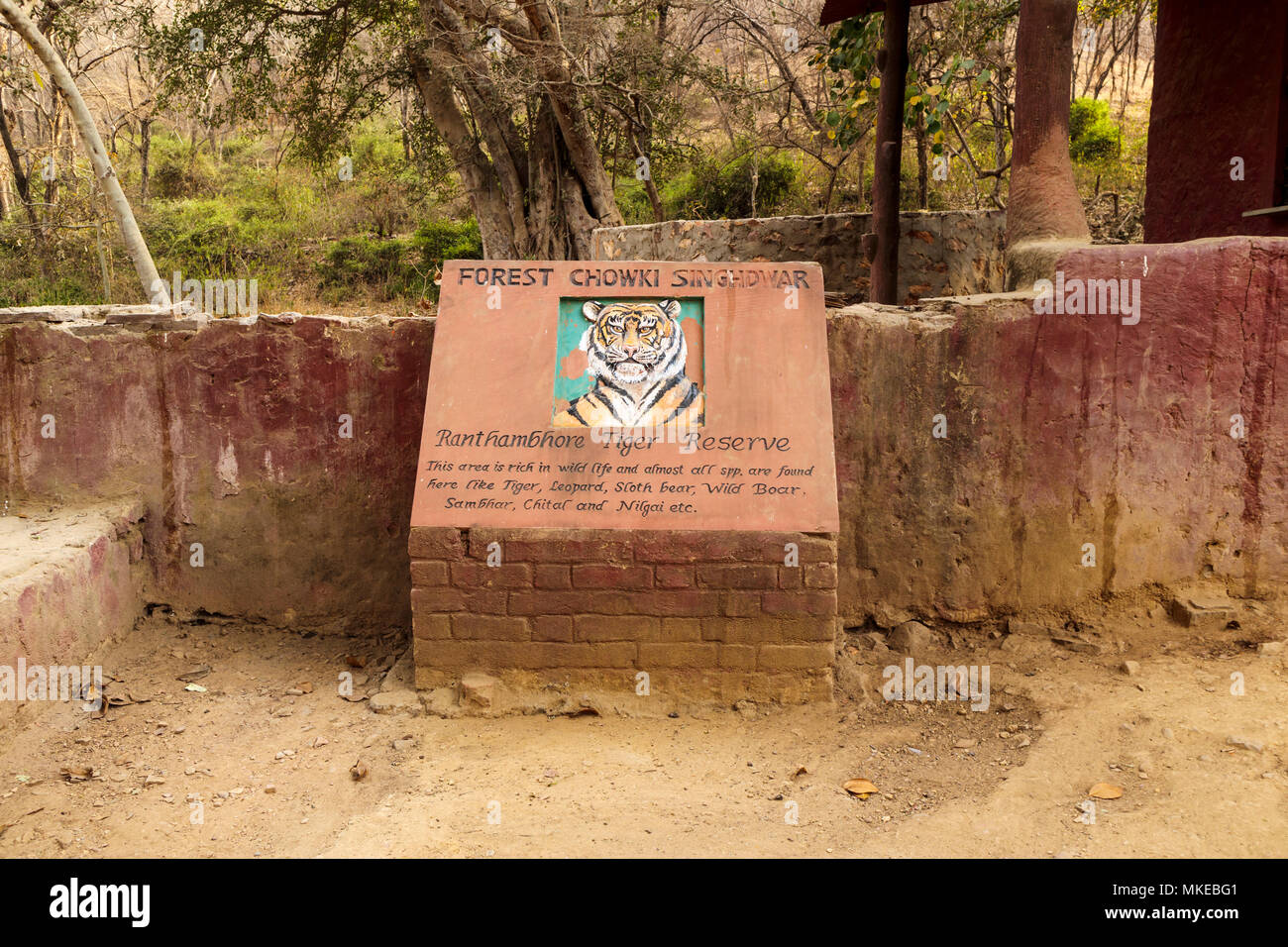 La verniciatura di una tigre presso la foresta Chowki Singhdwar entrata al Parco nazionale di Ranthambore e Ranthambhore Riserva della Tigre, Rajasthan, India settentrionale Foto Stock