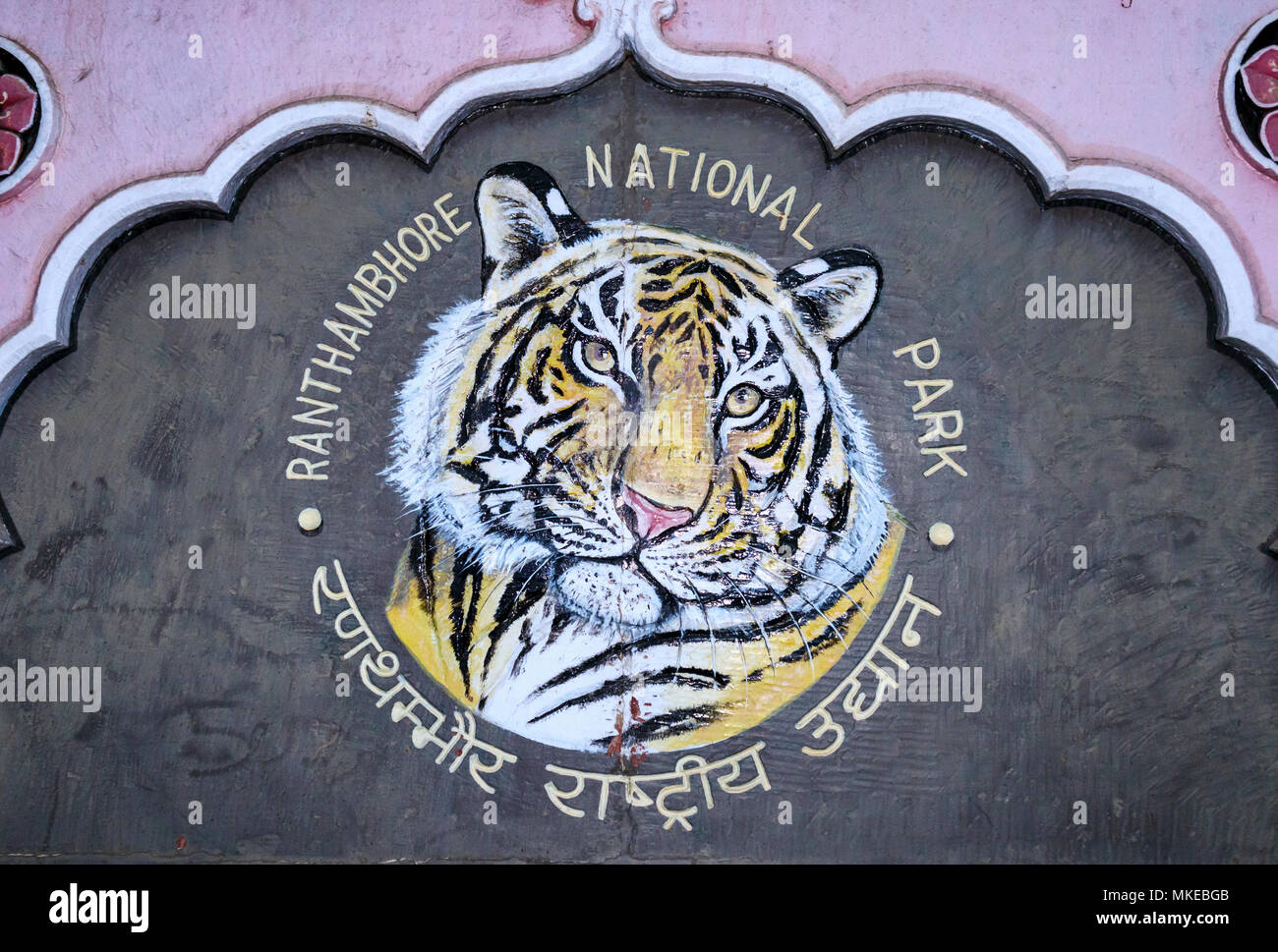 La pittura della testa di una tigre su un ingresso sign in Ranthambhore Riserva della Tigre Parco Nazionale, Rajasthan, India settentrionale Foto Stock
