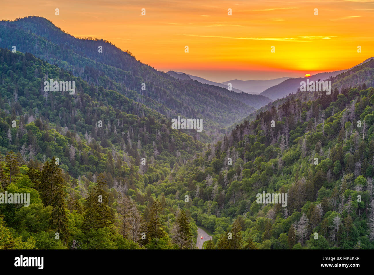 Parco Nazionale di Great Smoky Mountains, Tennessee, Stati Uniti d'America tramonto paesaggio nel corso di una ritrovata Gap. Foto Stock