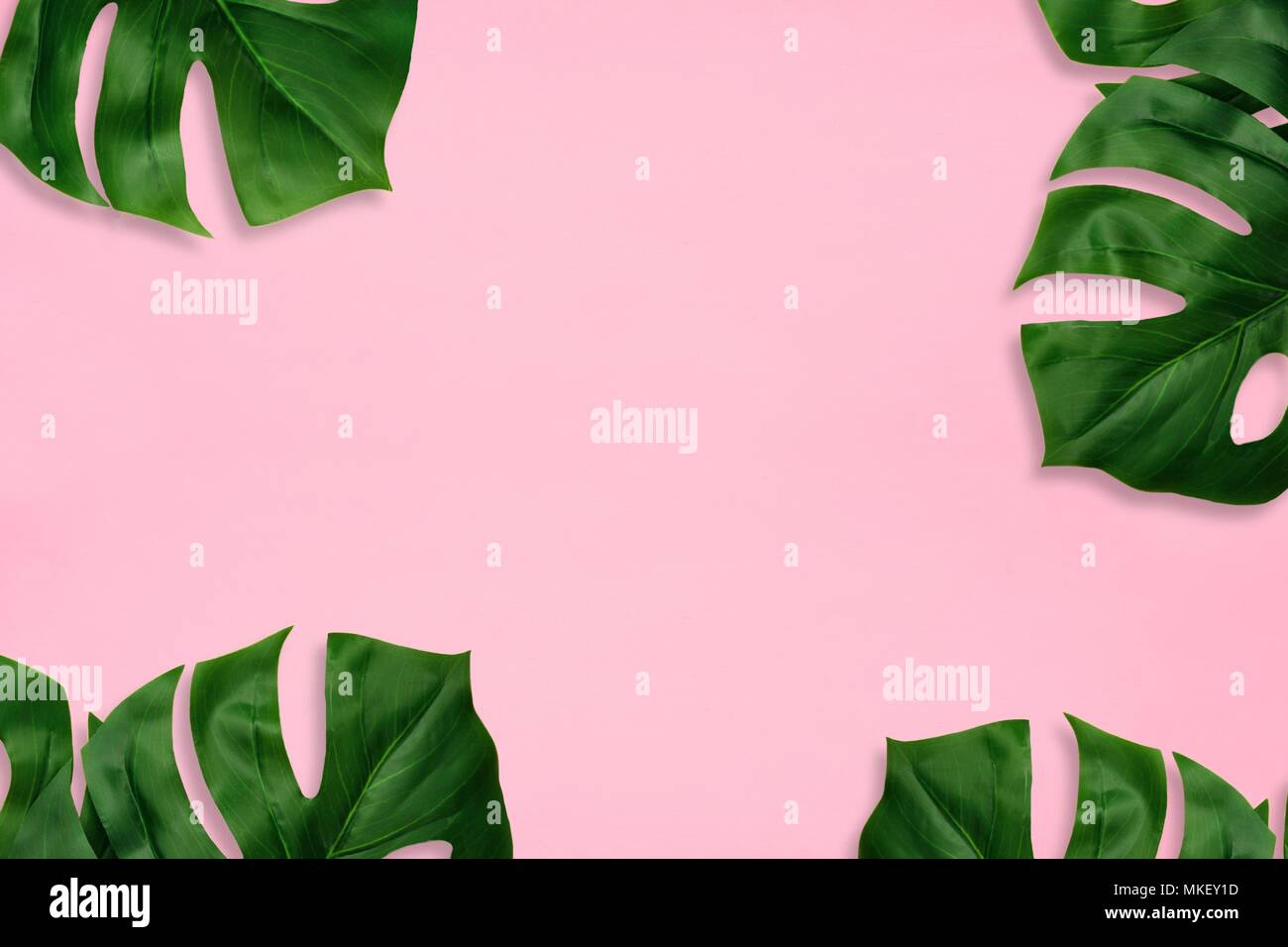 Featured image of post Wallpaper Sfondi Rosa Chiaro