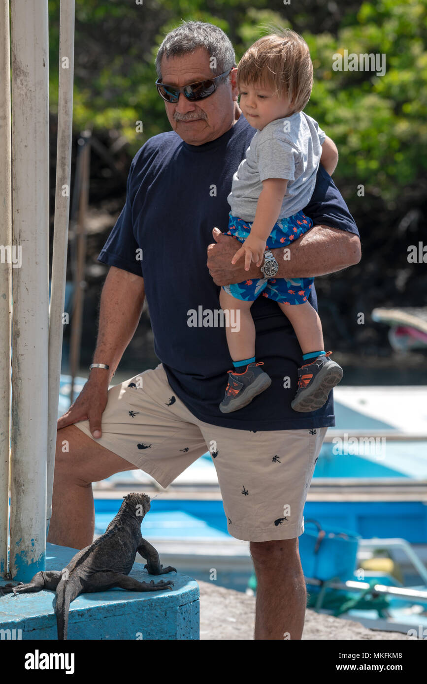 Il padre e il figlio e un starnuti Iguana marina di Puerto Ayora, Isole Galapagos, Ecuador. La iguana ghiandole ha collegato al suo narici che sono abl Foto Stock