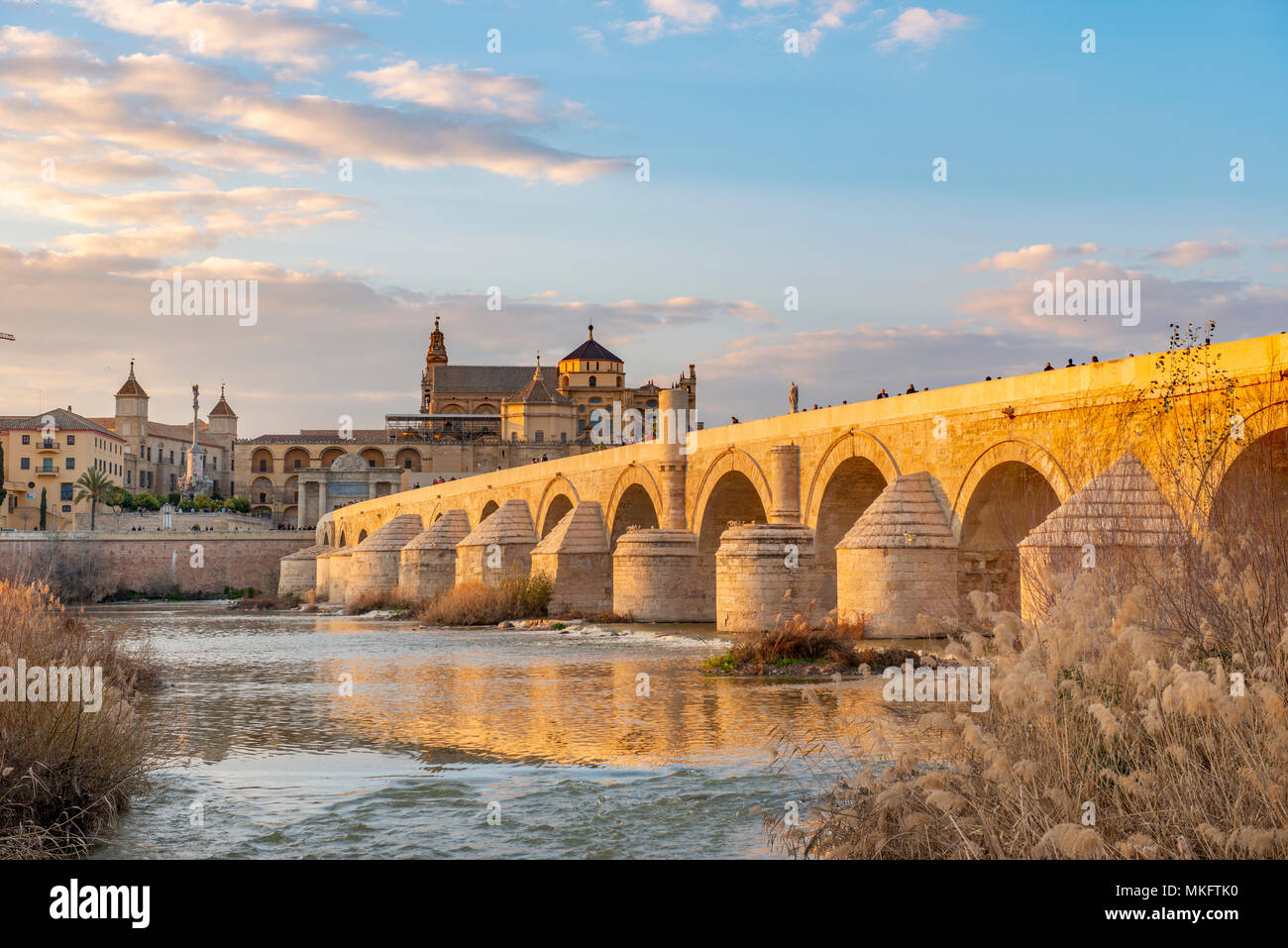 Puente Romano, il ponte romano sul Rio Guadalquivir, dietro la Mezquita, Catedral de Córdoba, Cordoba, Andalusia, Spagna Foto Stock