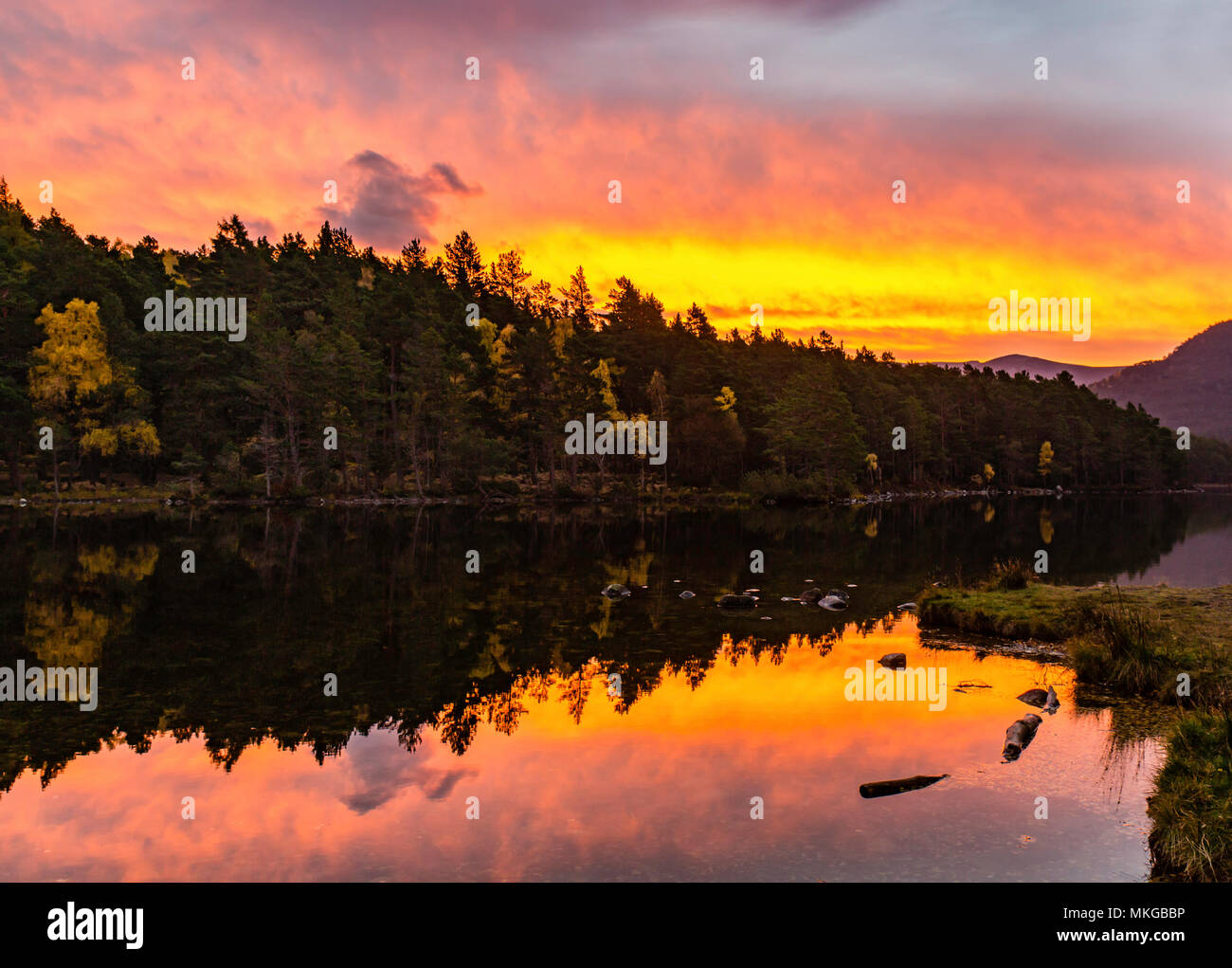 Spettacolare alba dove il cielo sembra essere sul fuoco fino in Scozia Cairngorms National Park in autunno Foto Stock