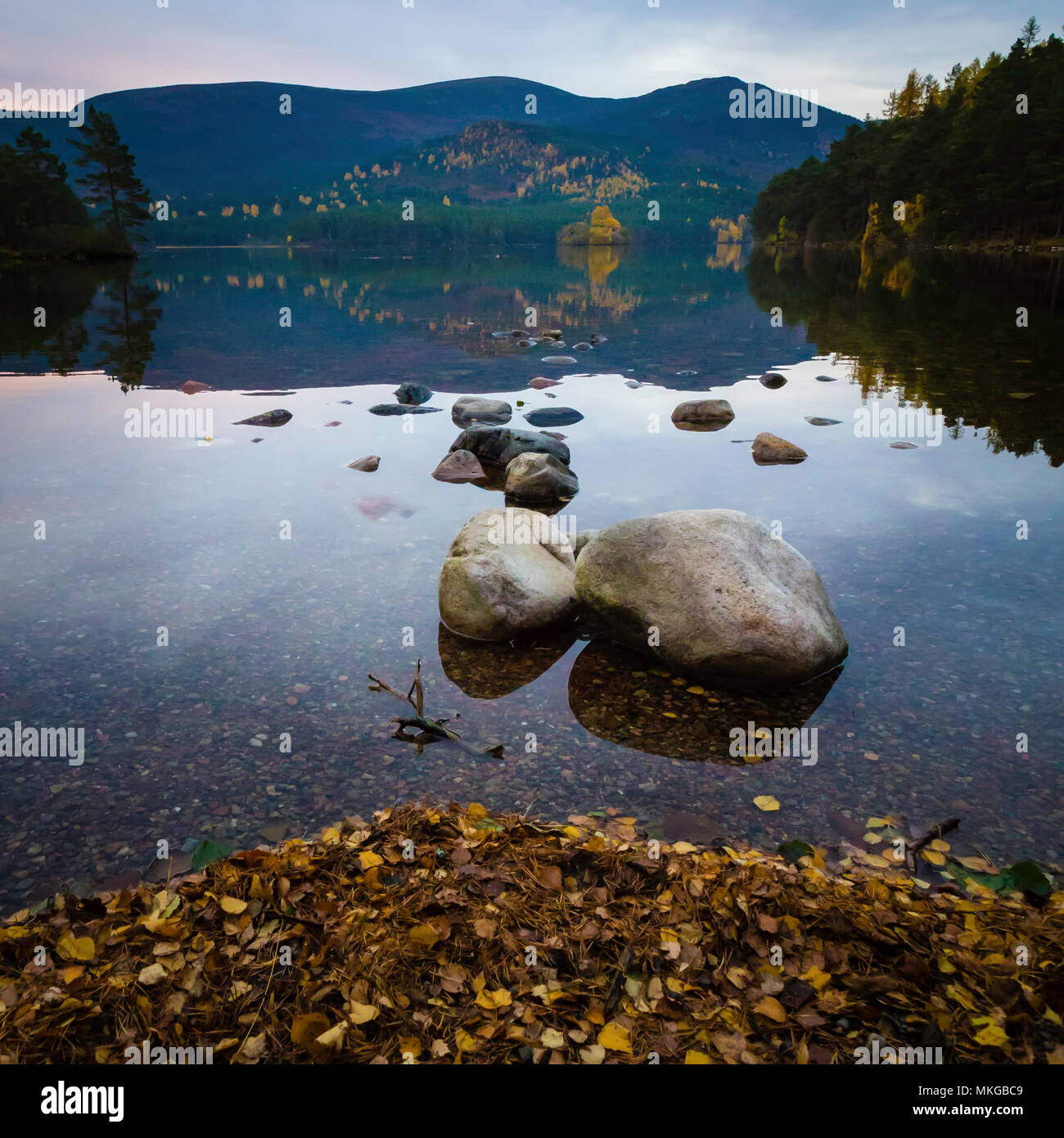 Un nitido mattina autunnale in corrispondenza di un bordo di una loch nelle highlands scozzesi con foglie galleggianti in acqua e pietre miliari naturalmente disposti in uno zen Foto Stock