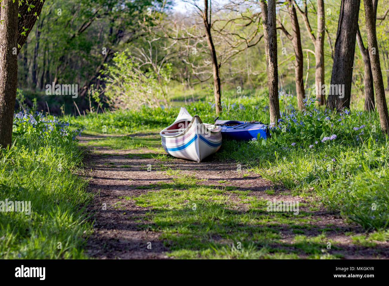 Canoe a riposo lungo il fiume durante l ora d'oro nelle zone rurali del Midwest, Illinois, Stati Uniti d'America. Foto Stock