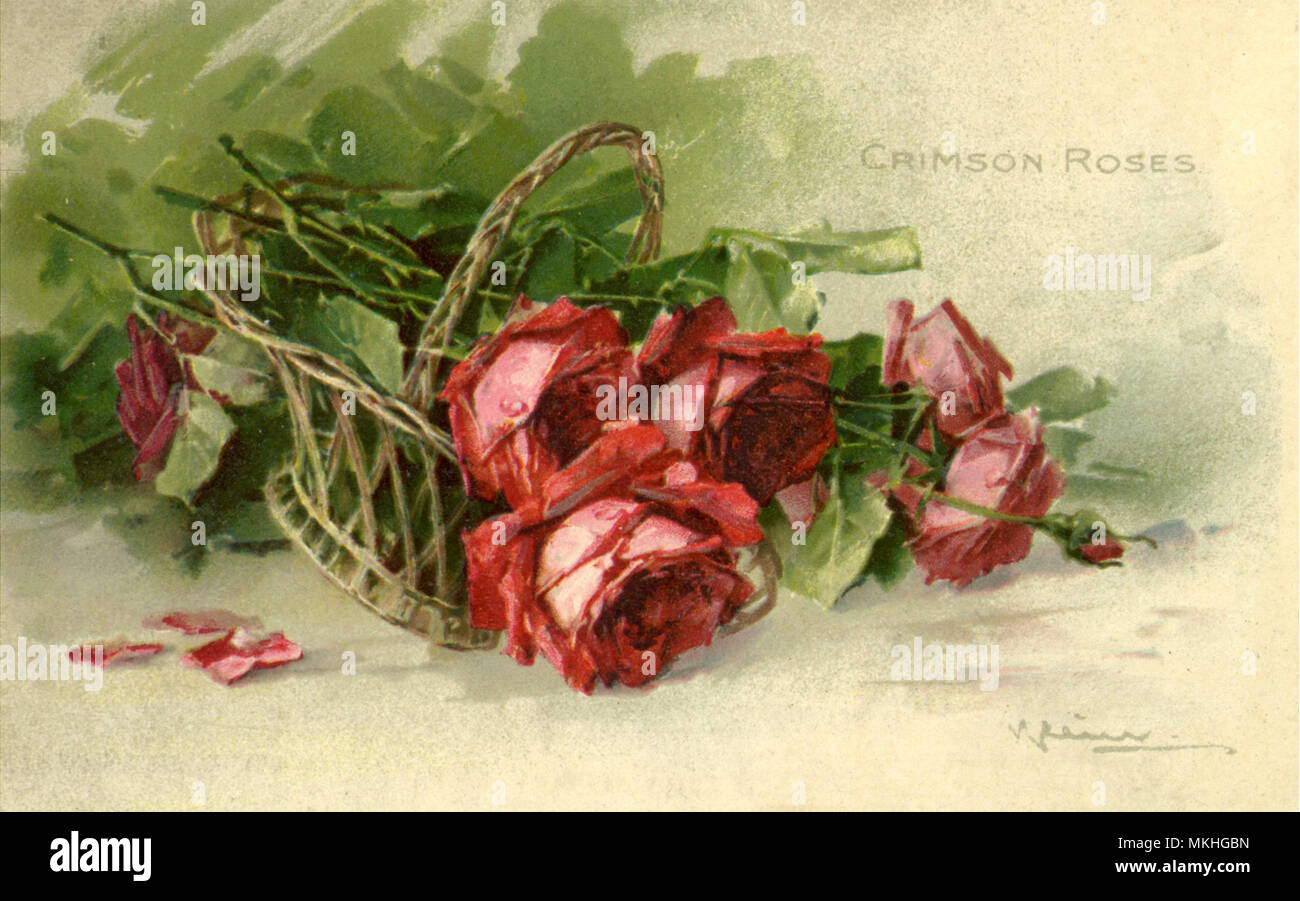 Crimson Rose in un cesto tessuto Foto Stock