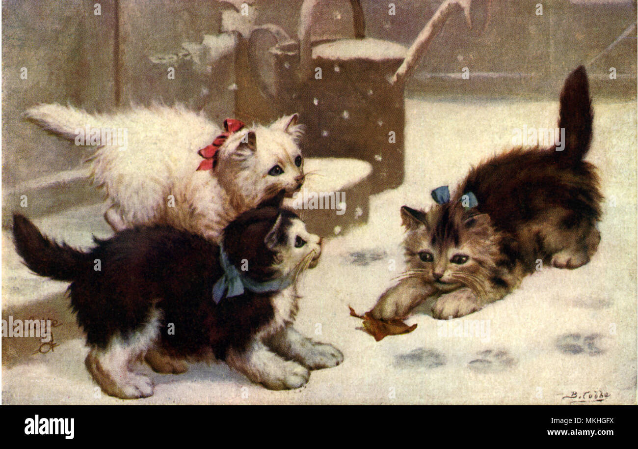 I gattini di giocare con foglia nella neve Foto Stock