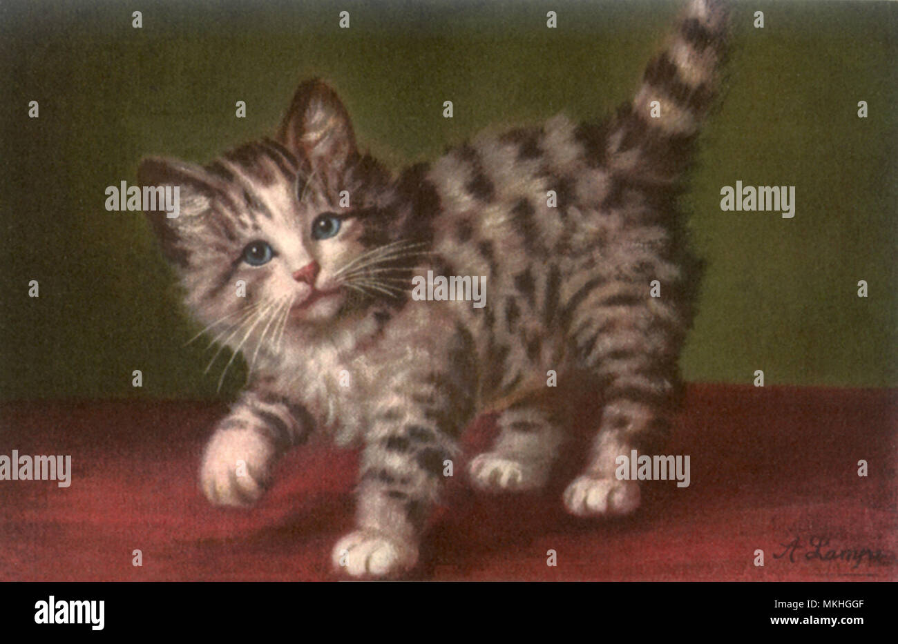 Gattino con destra zampa anteriore sollevato Foto Stock
